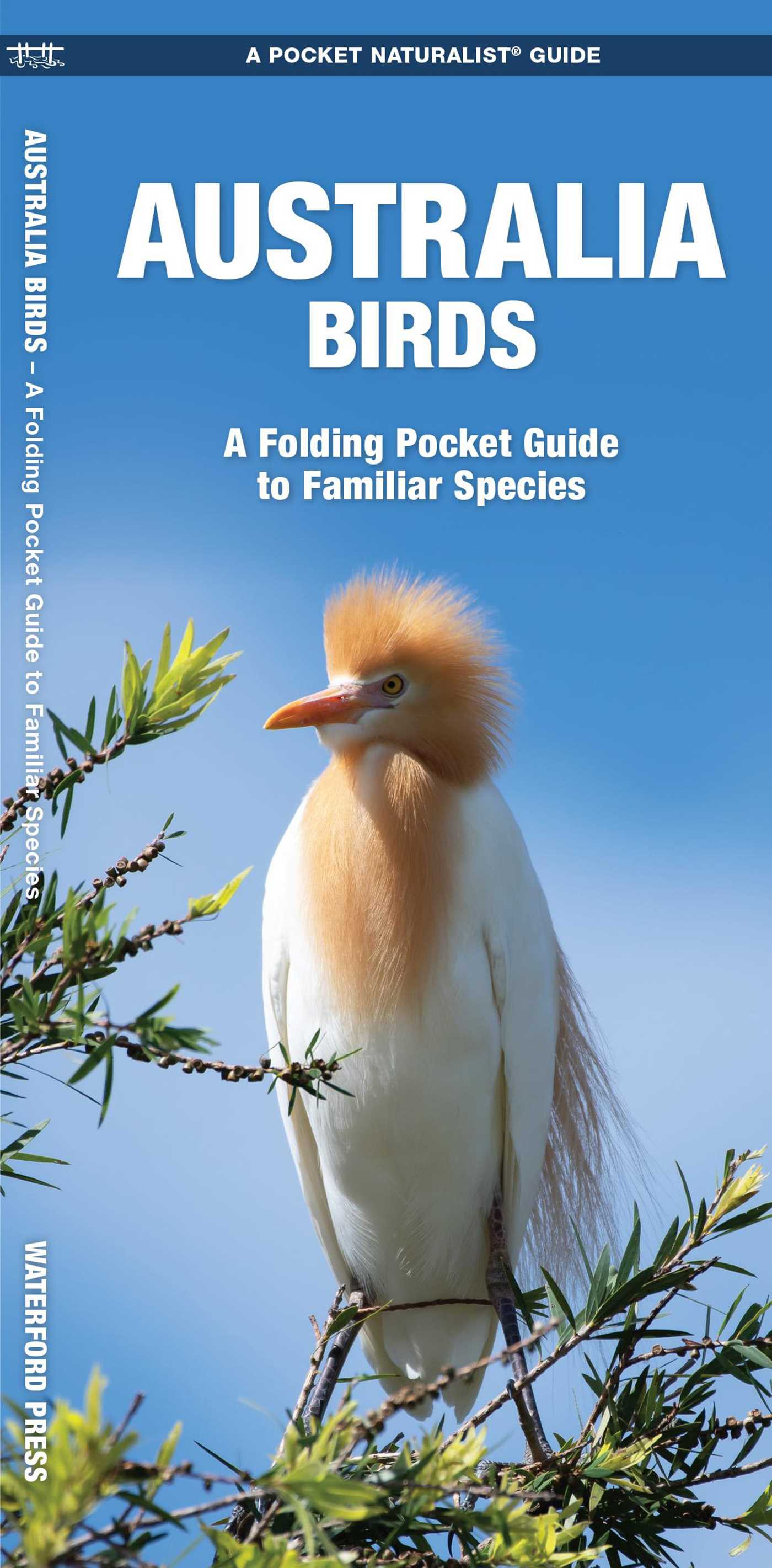 Australia Birds