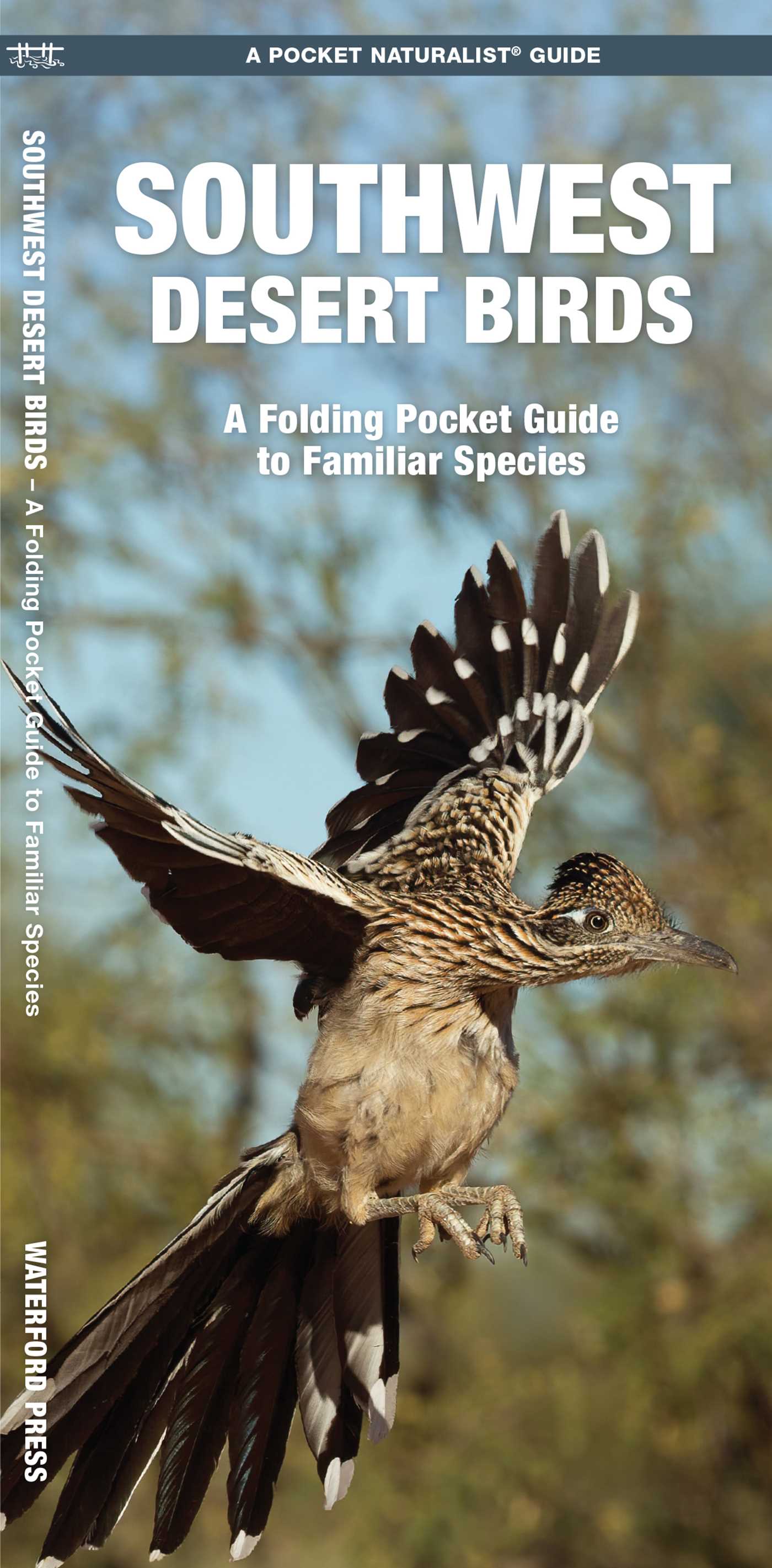 Southwest Desert Birds