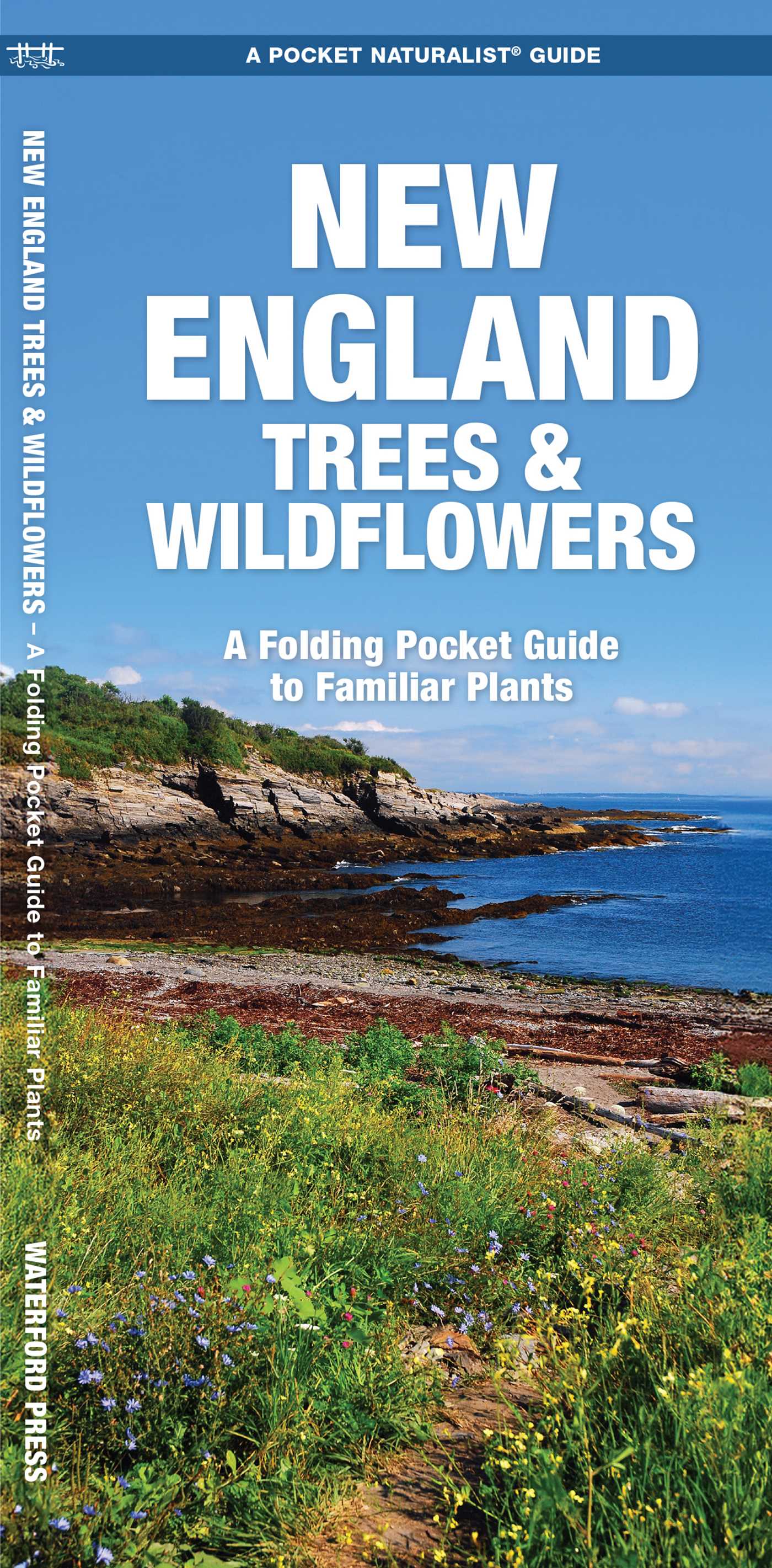 New England Trees & Wildflowers