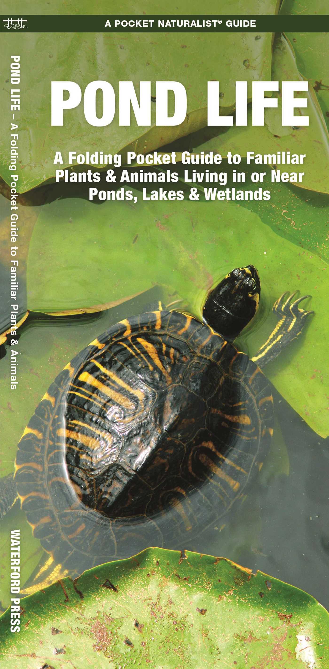 Pond Life, 2nd Ed