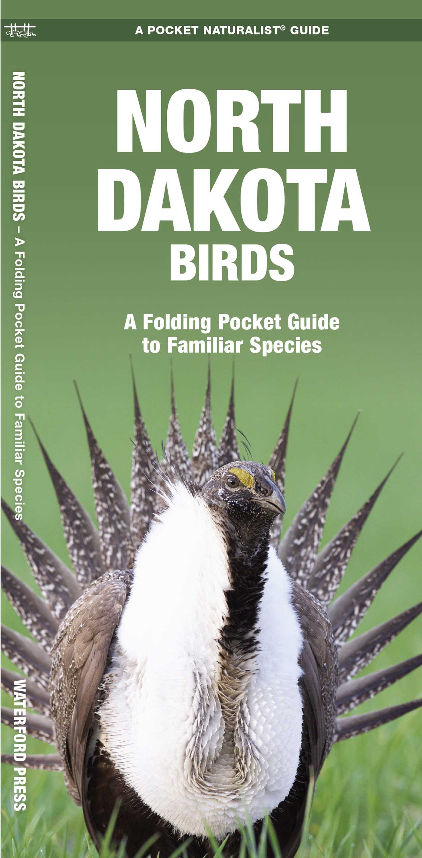 North Dakota Birds