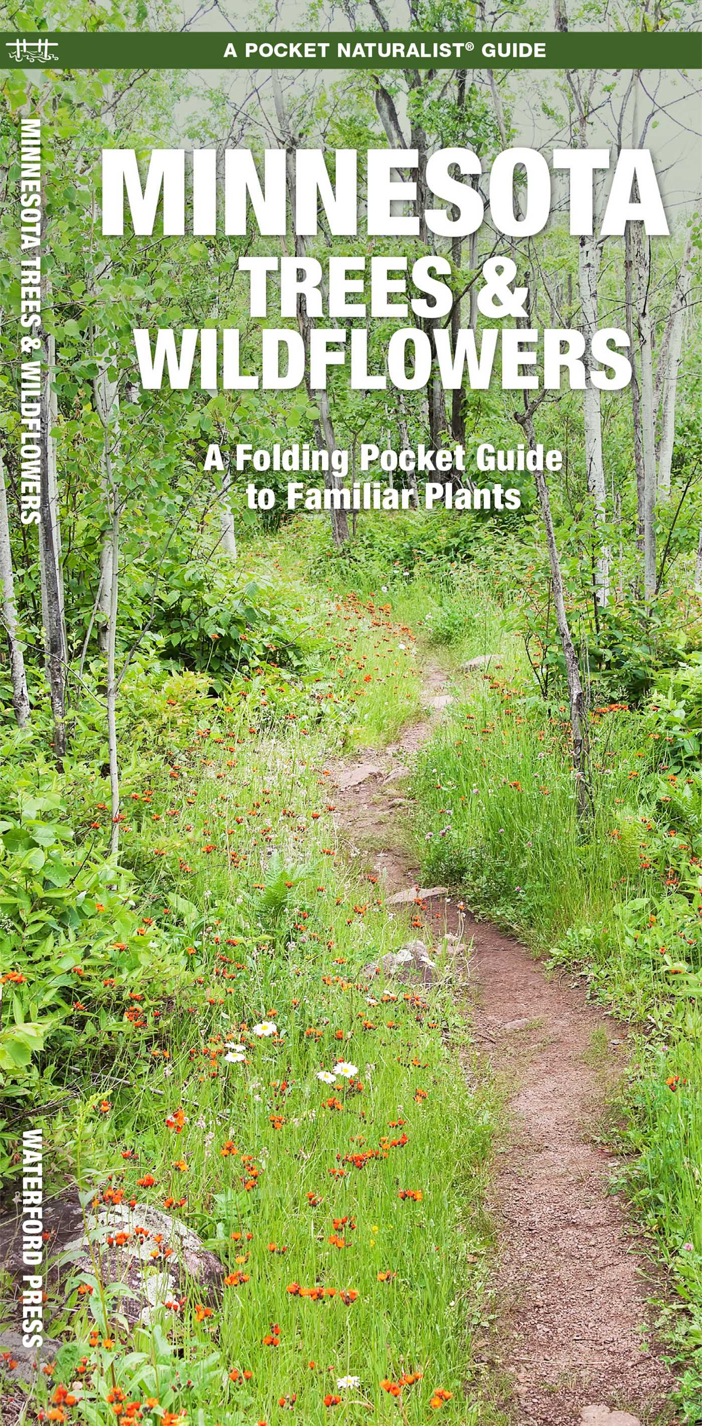 Minnesota Trees & Wildflowers