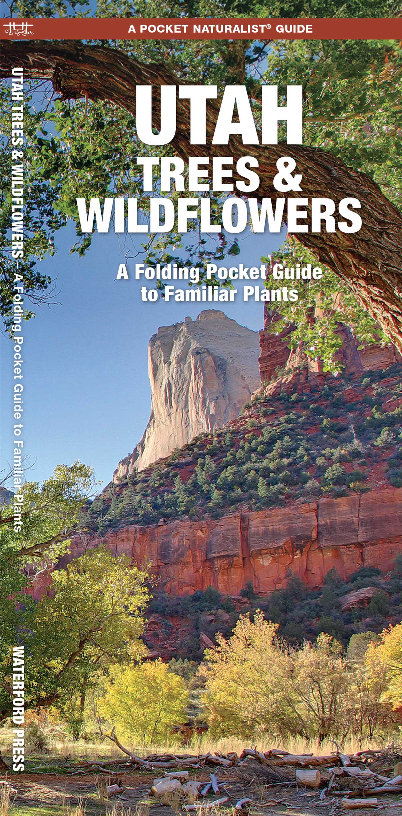 Utah Trees & Wildflowers