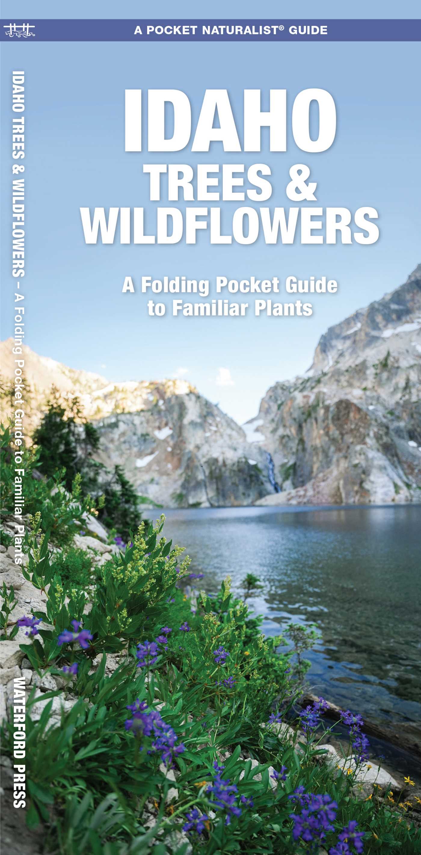 Idaho Trees & Wildflowers
