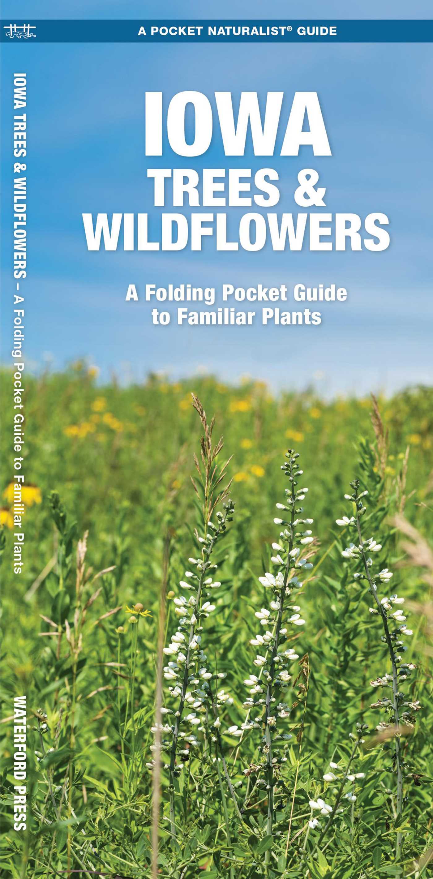 Iowa Trees & Wildflowers