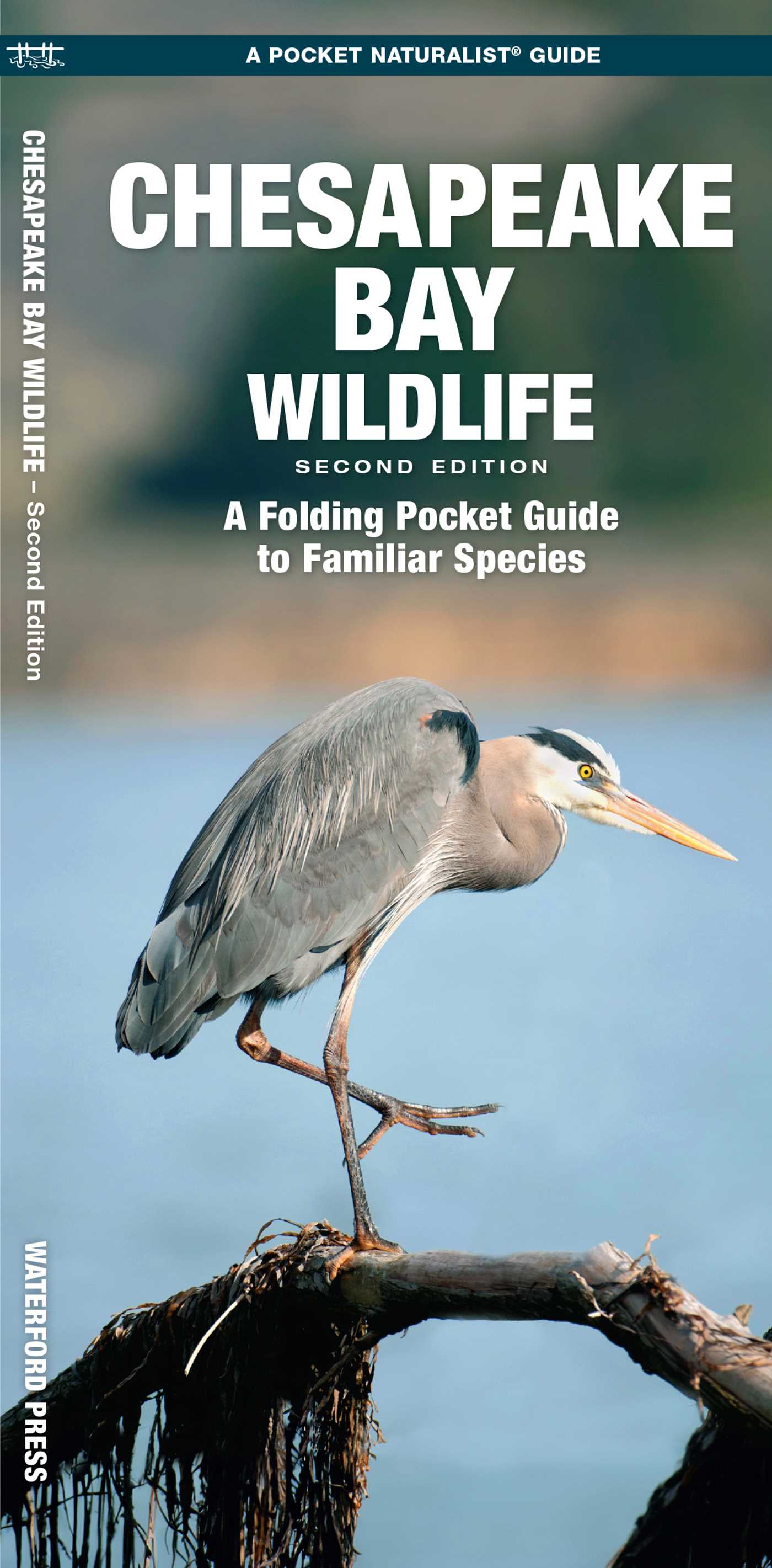 Chesapeake Bay Wildlife, 2nd Ed