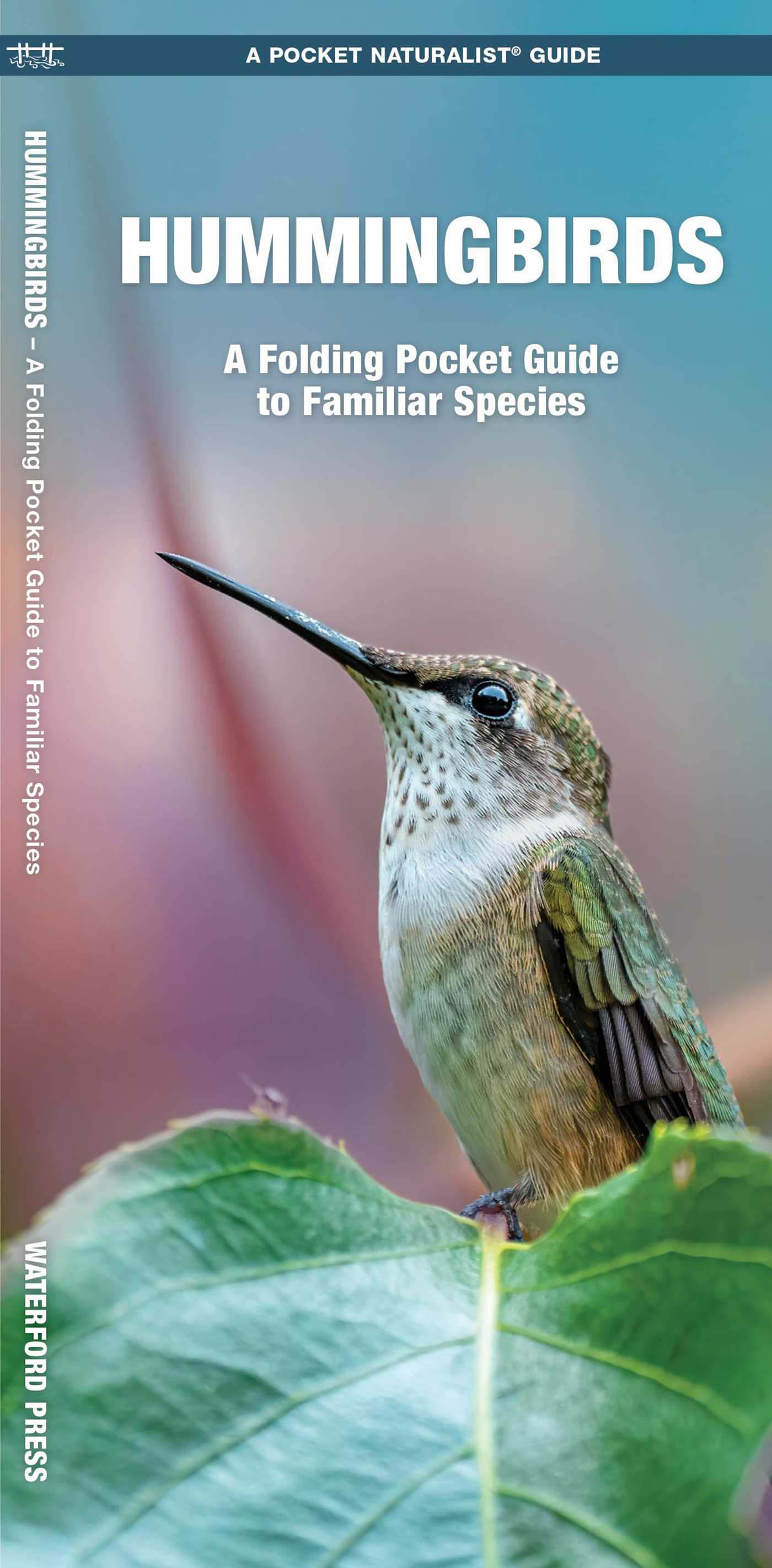Hummingbirds, 3rd Ed