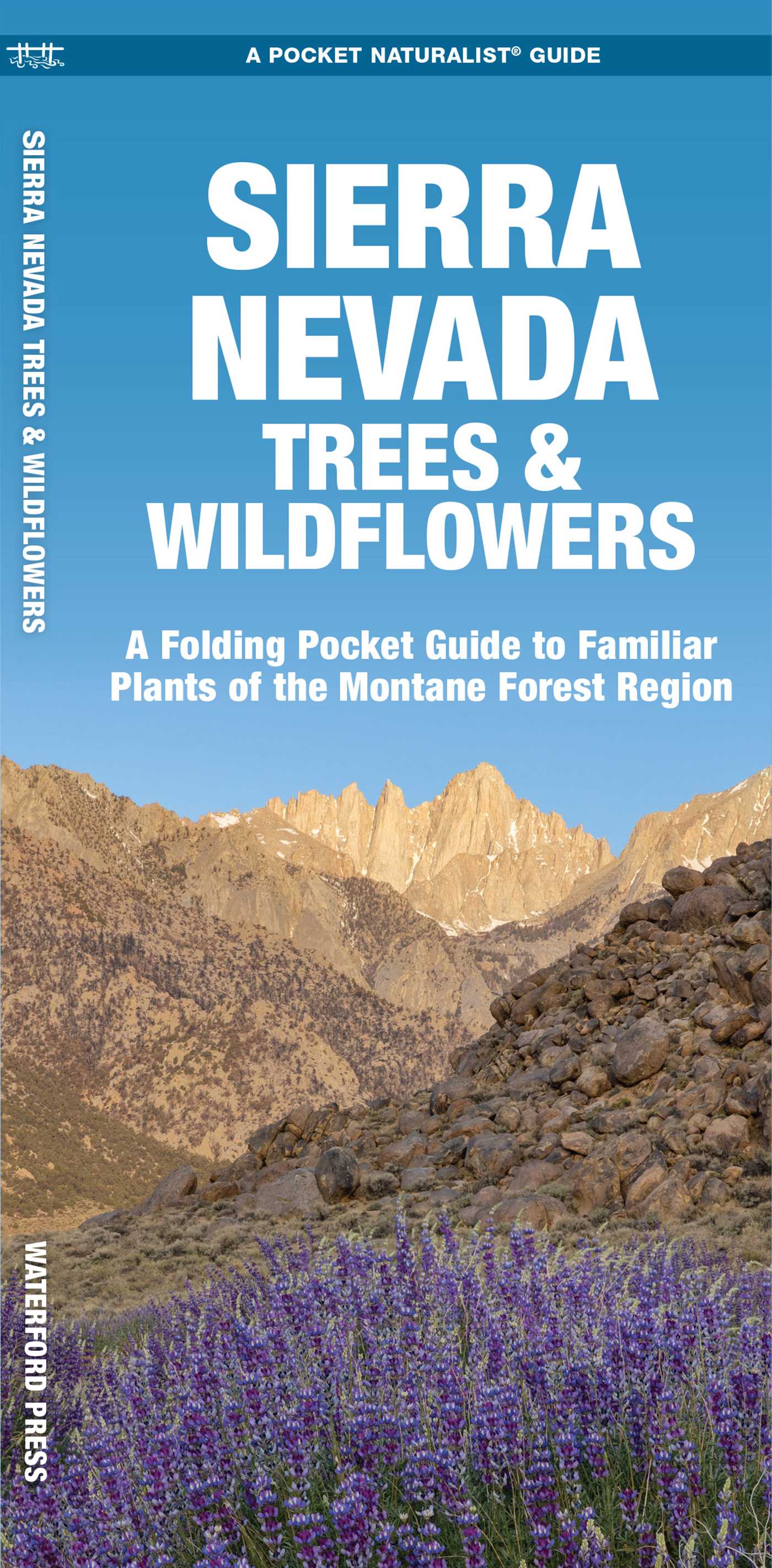 Sierra Nevada Trees & Wildflowers