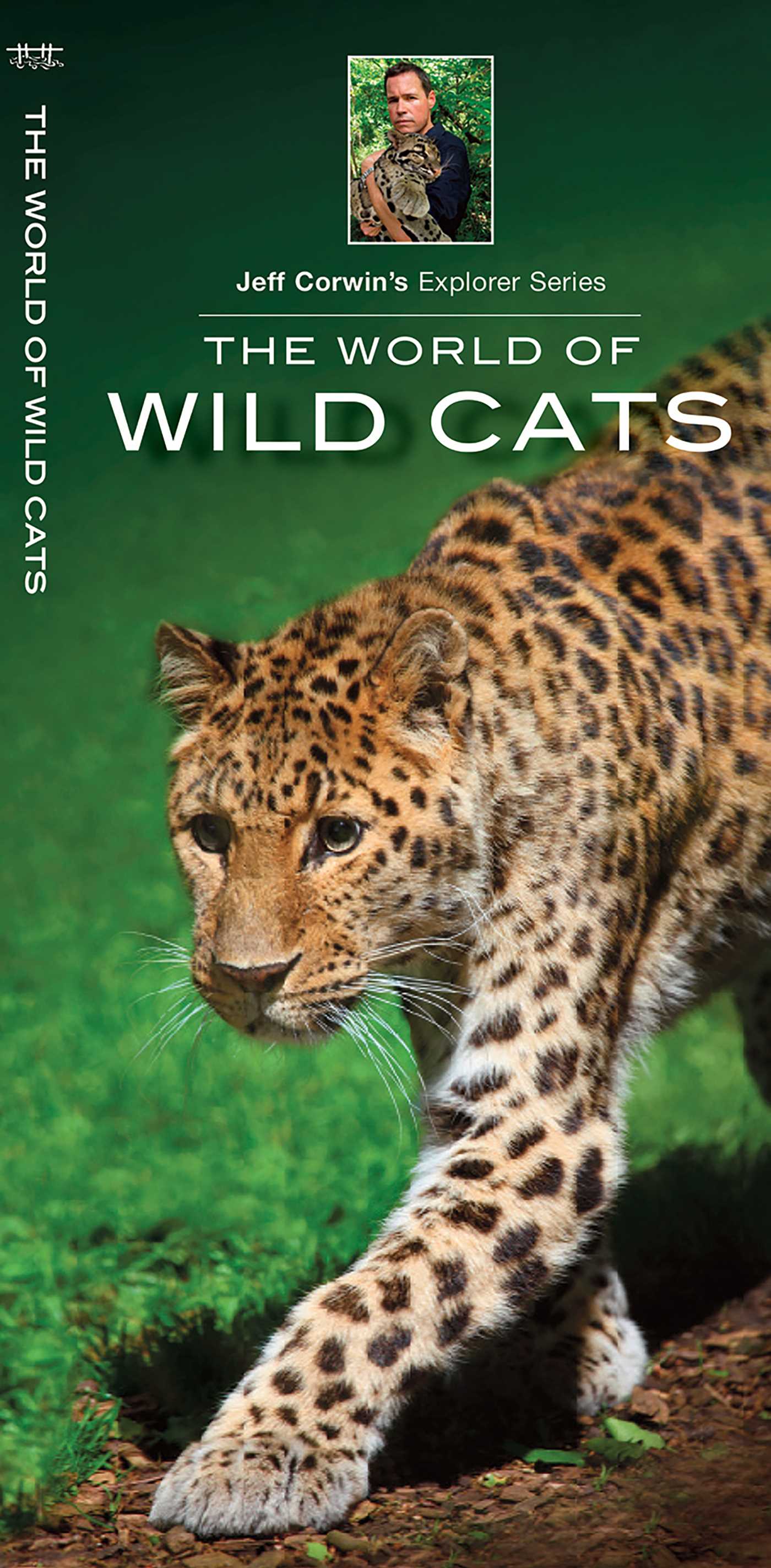 World of Wild Cats