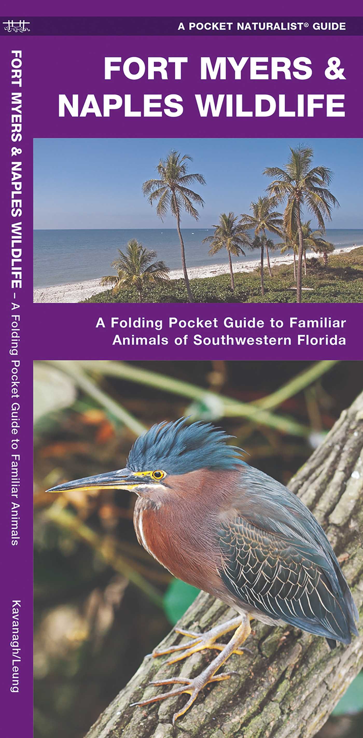 Fort Myers & Naples Wildlife