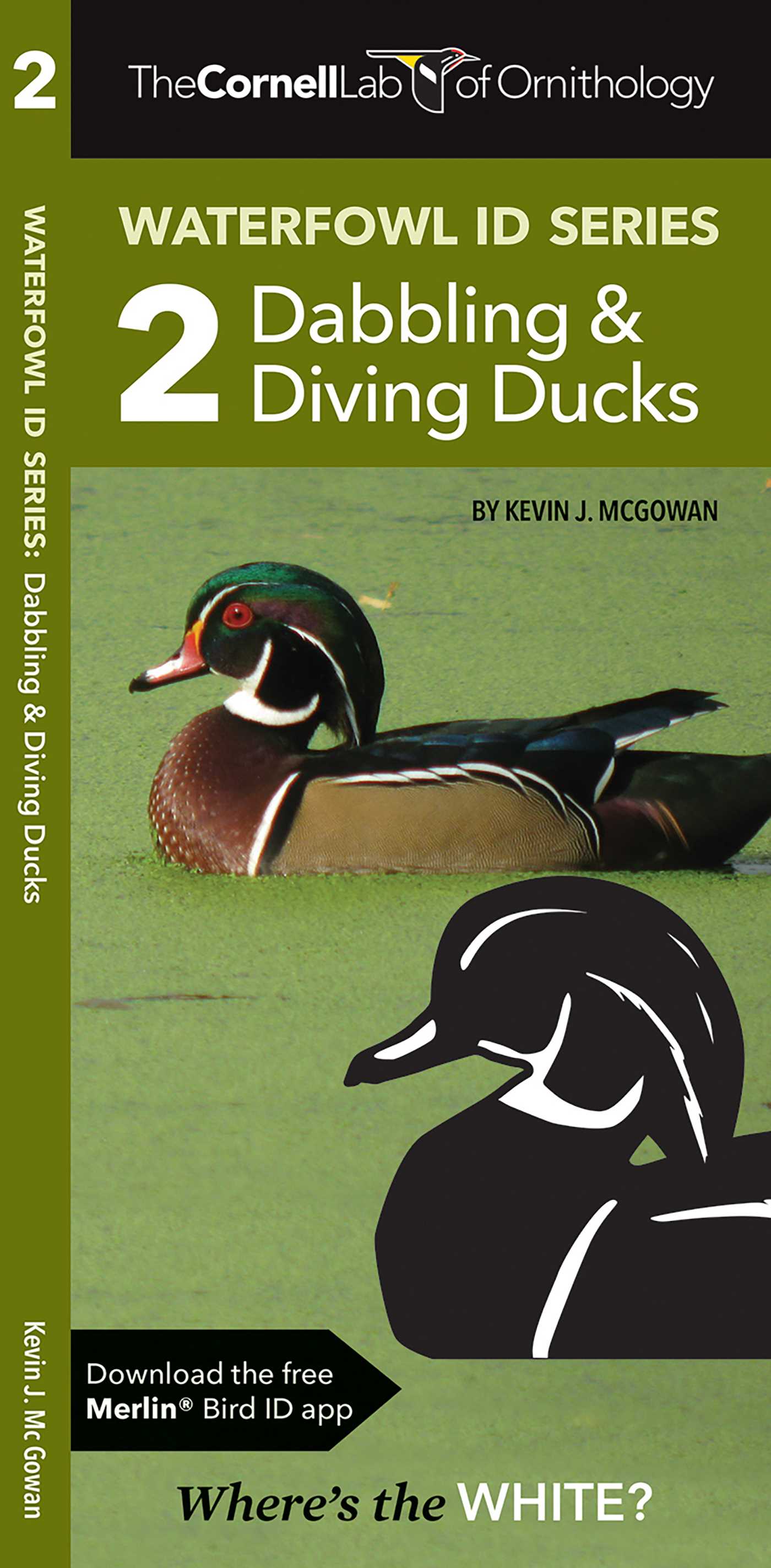 Cornell Lab of Ornithology Waterfowl ID Series: 2 Dabbling & Diving Ducks
