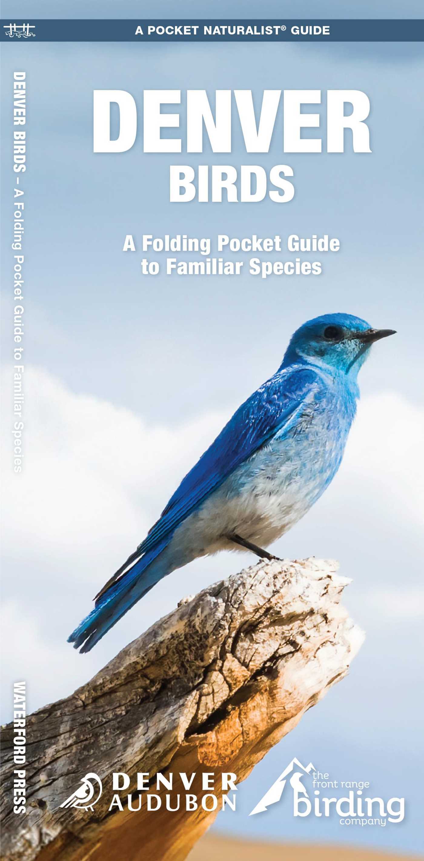 Denver Birds, 2nd Ed