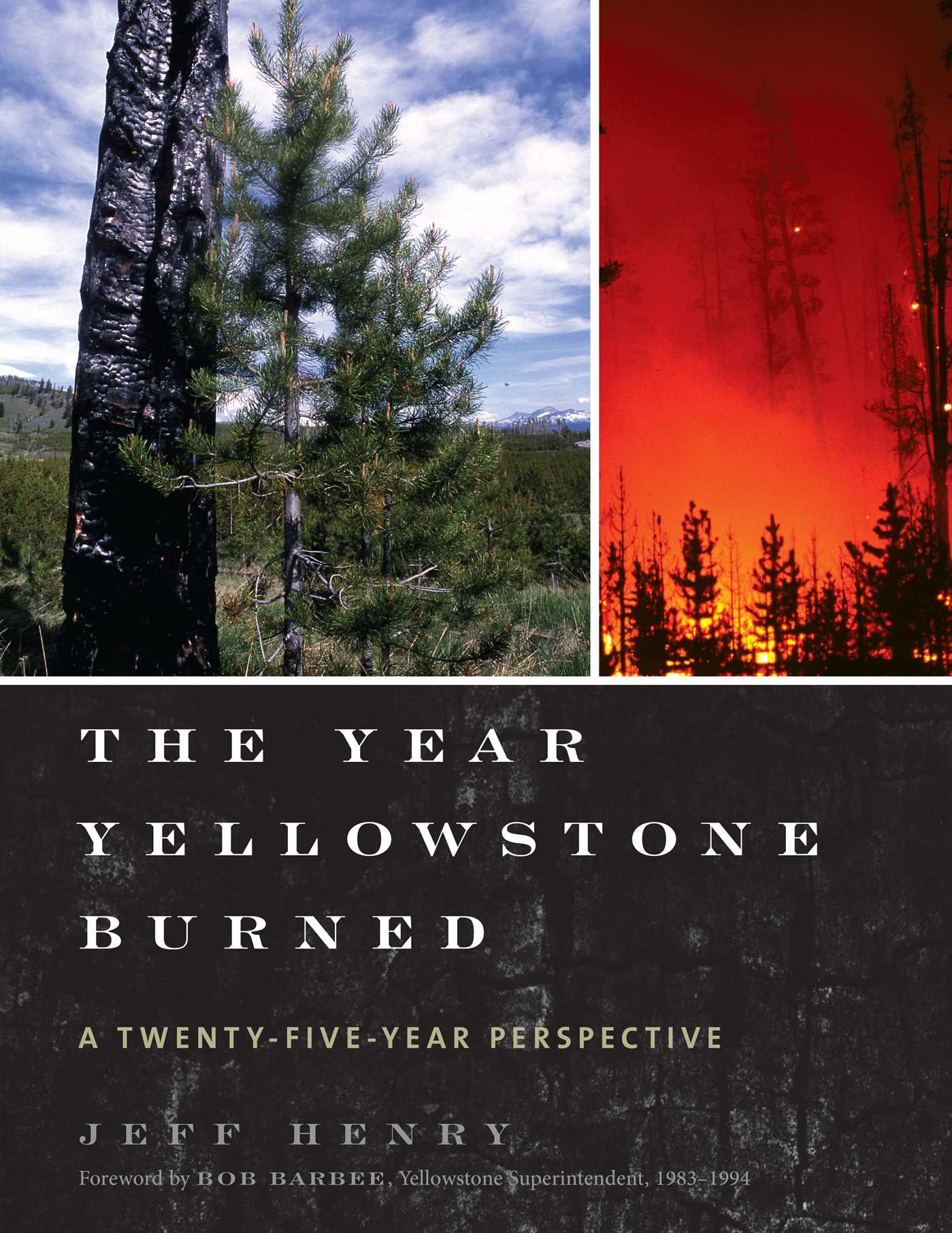 Year Yellowstone Burned: A Twenty-Five-Year Perspective