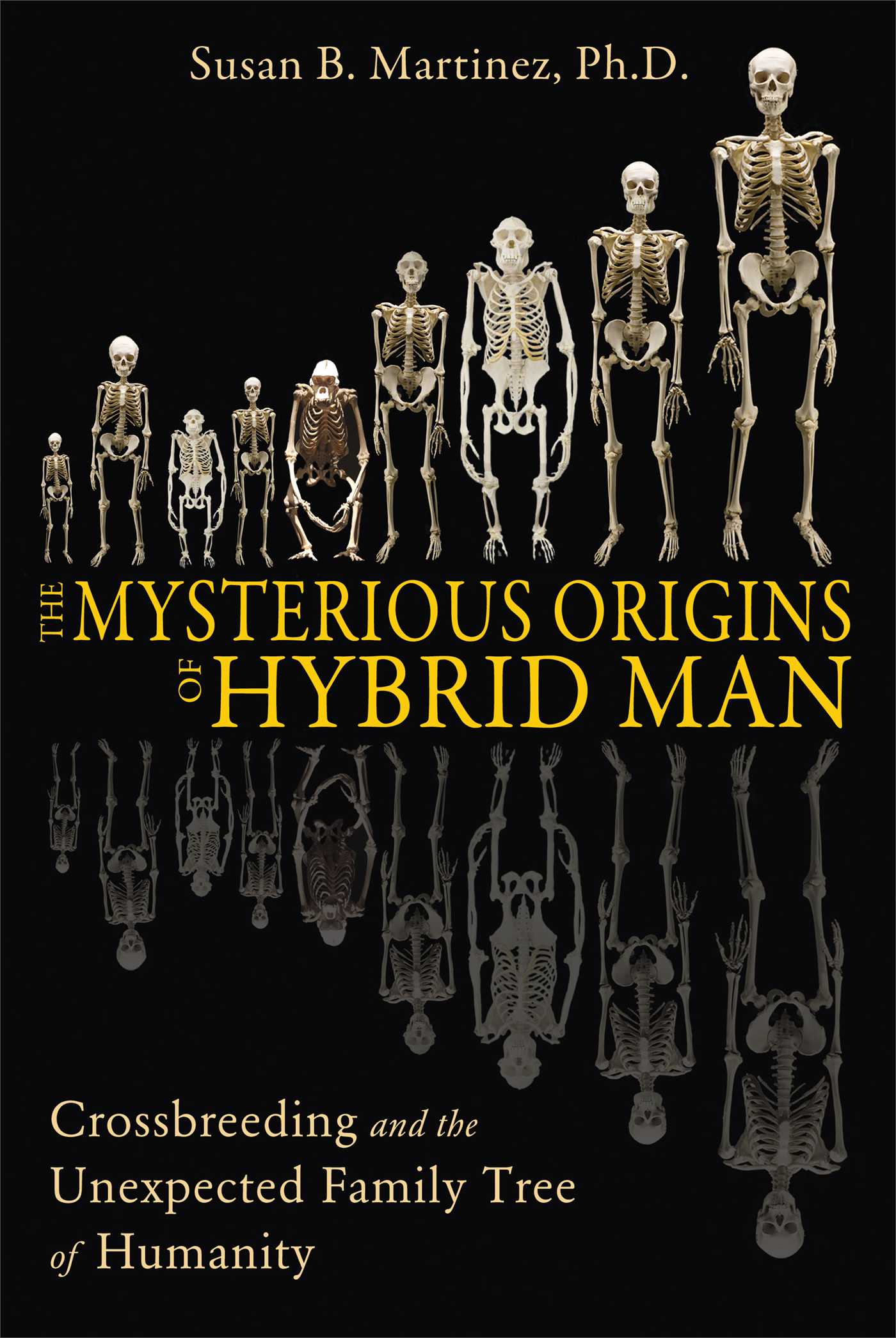 Mysterious Origins of Hybrid Man: Crossbreeding and the Unexpected Family Tree of Humanity