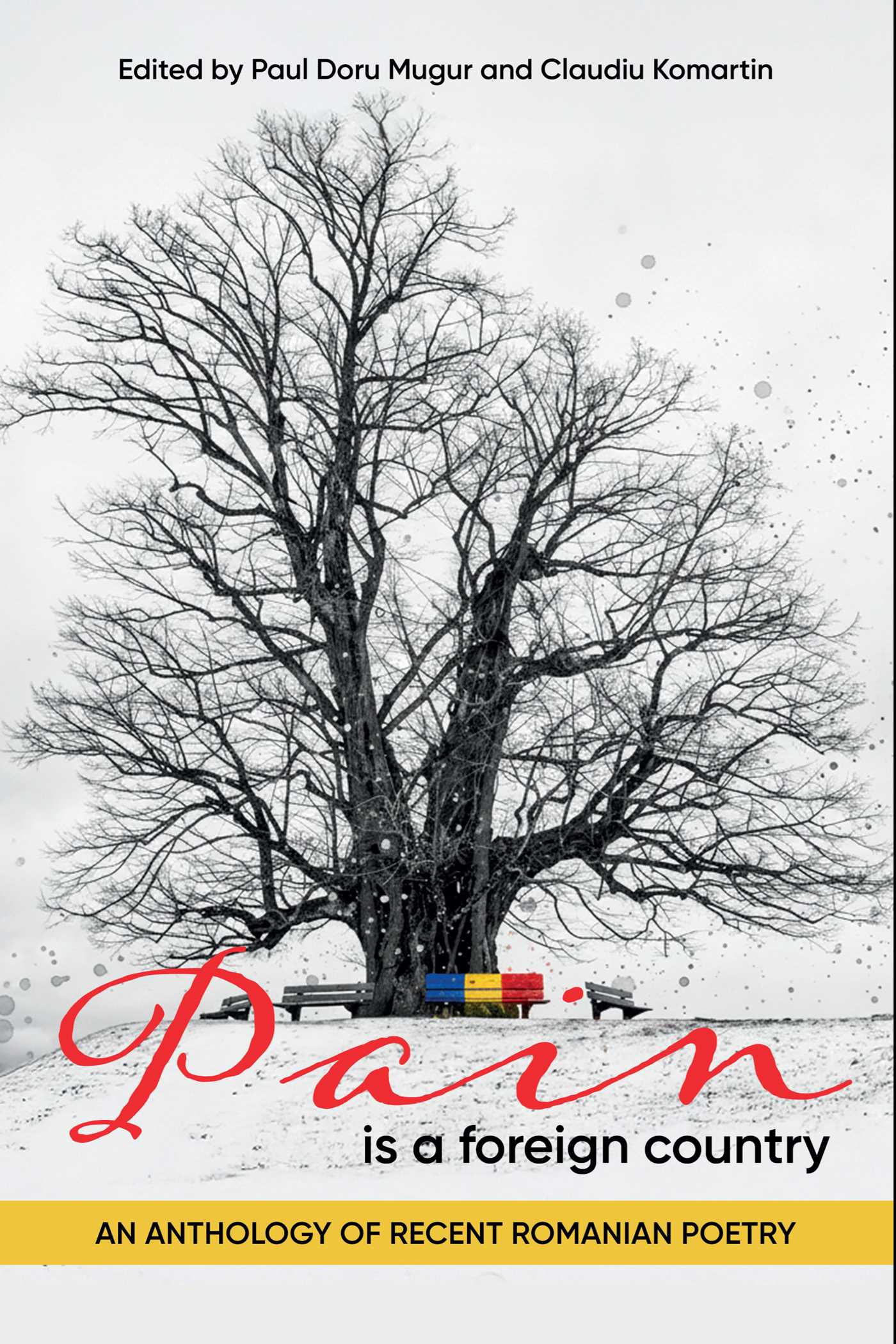 Pain is a Foreign Country