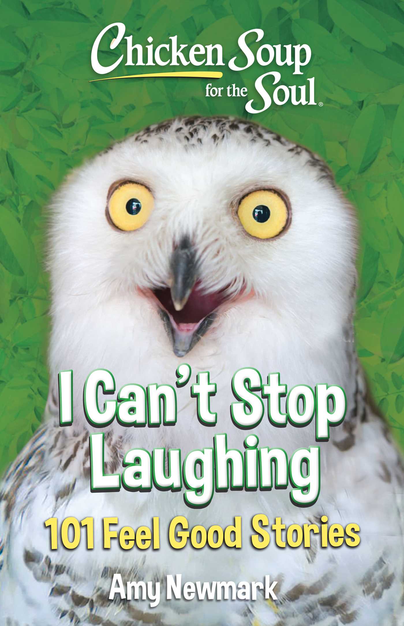 Chicken Soup for the Soul: I Can't Stop Laughing