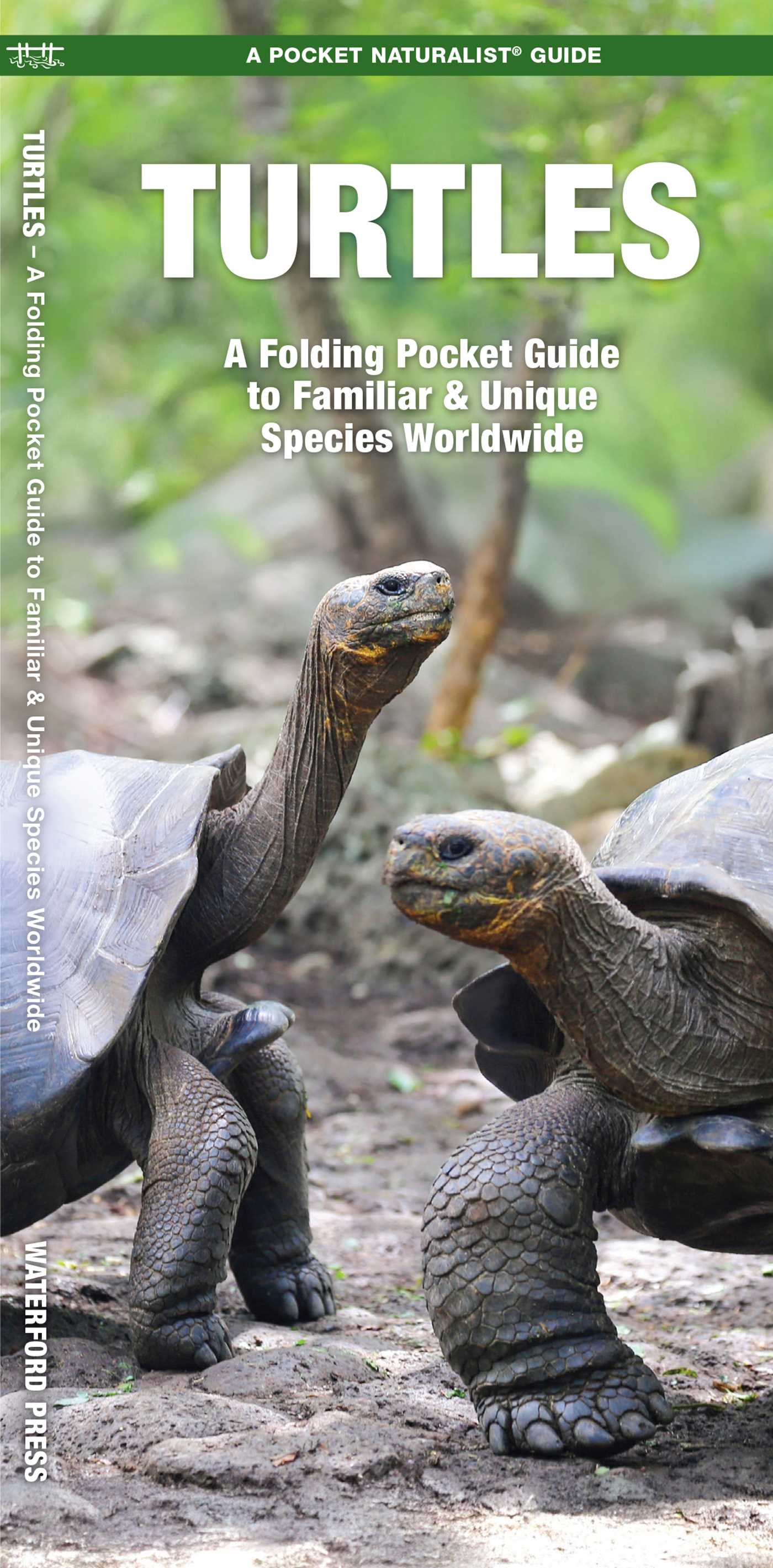 Turtles