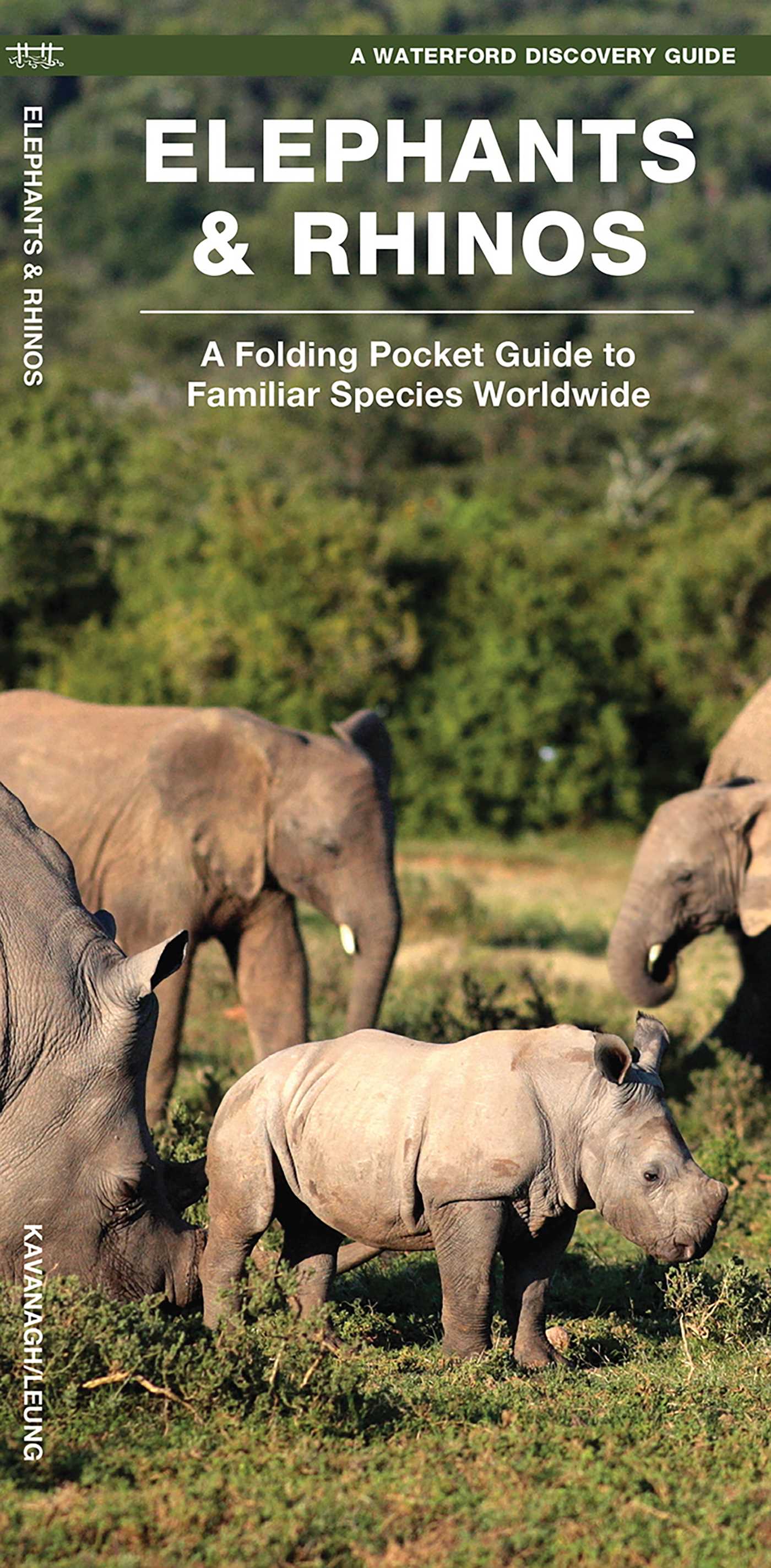 Elephants & Rhinos