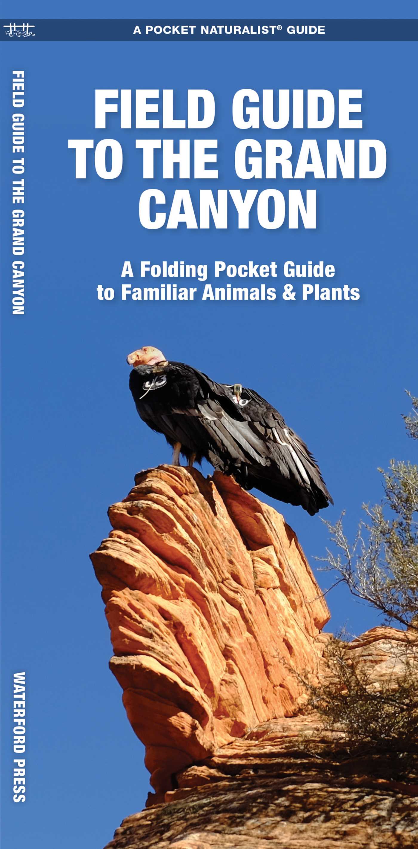 Grand Canyon, Field Guide to the, 2nd Ed