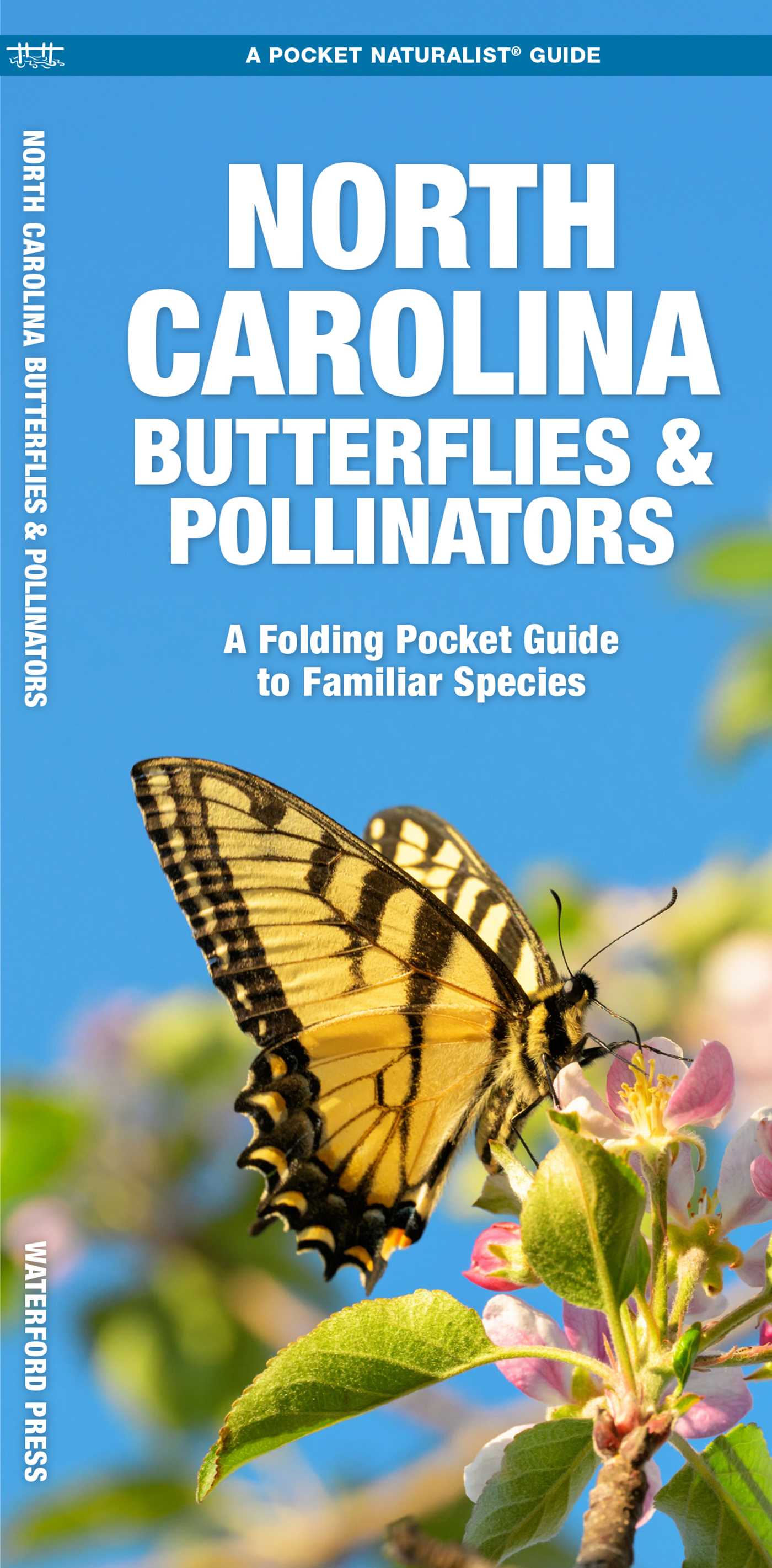 North Carolina Butterflies & Pollinators