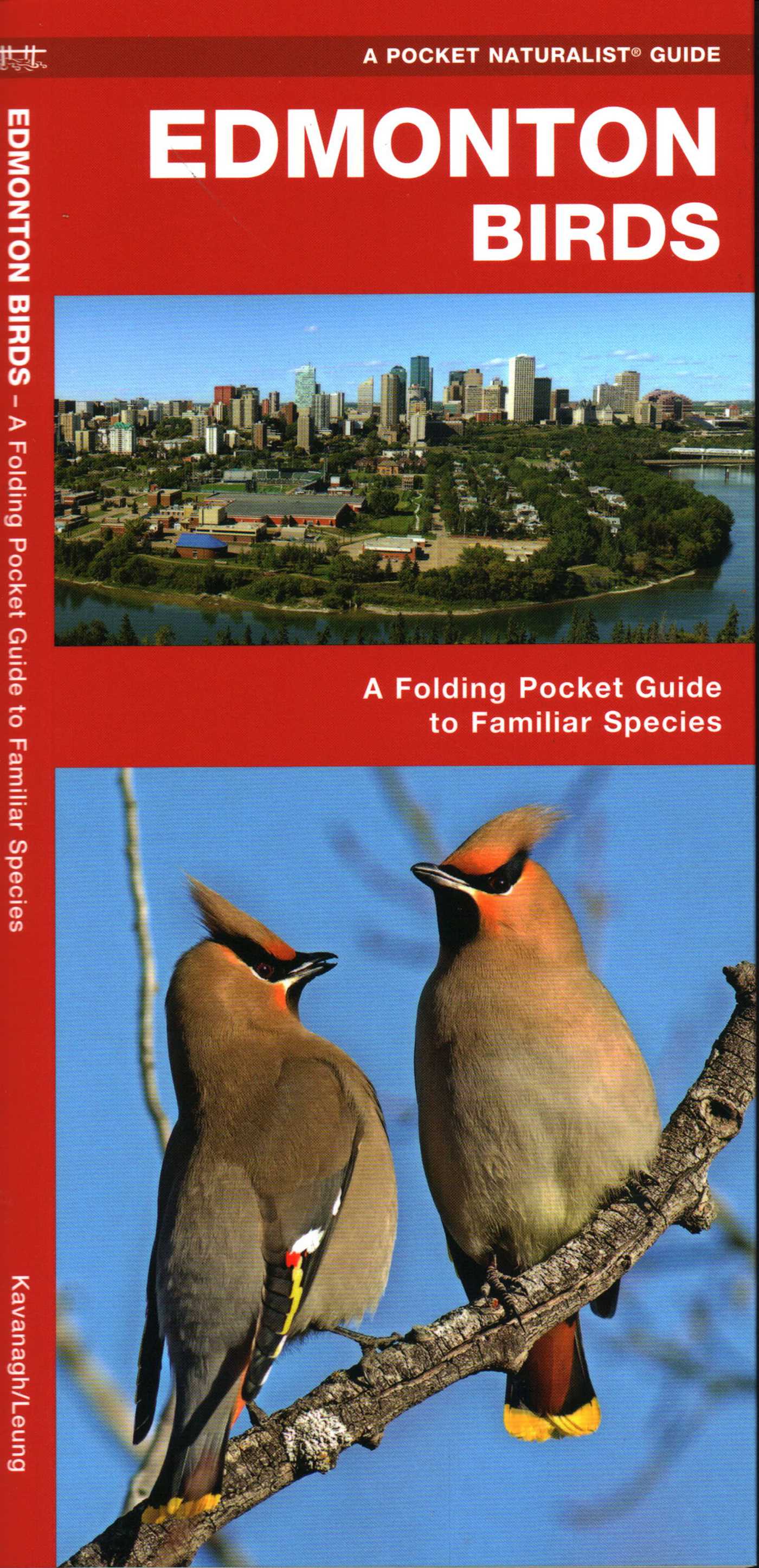 Edmonton Birds