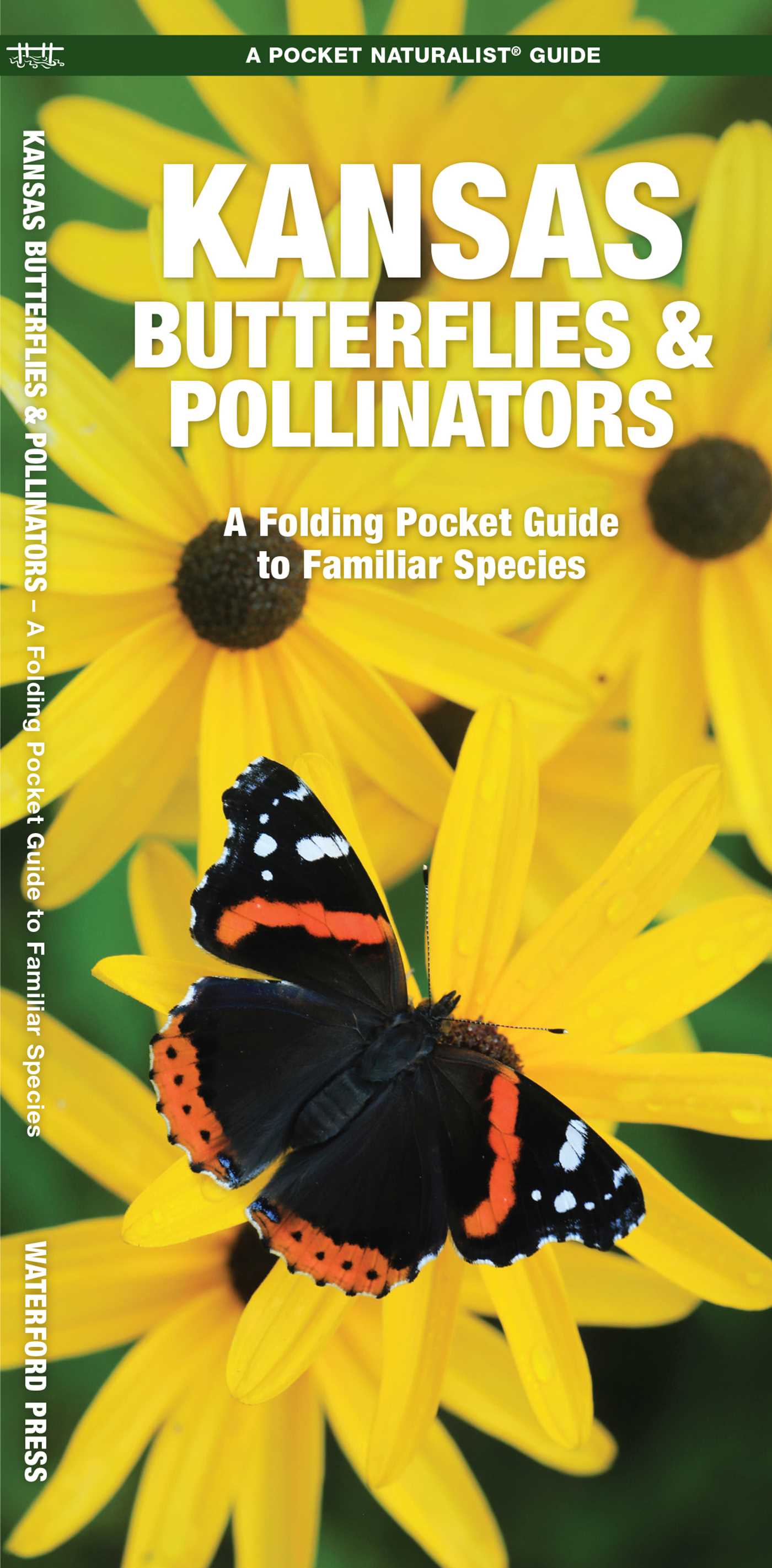 Kansas Butterflies & Pollinators