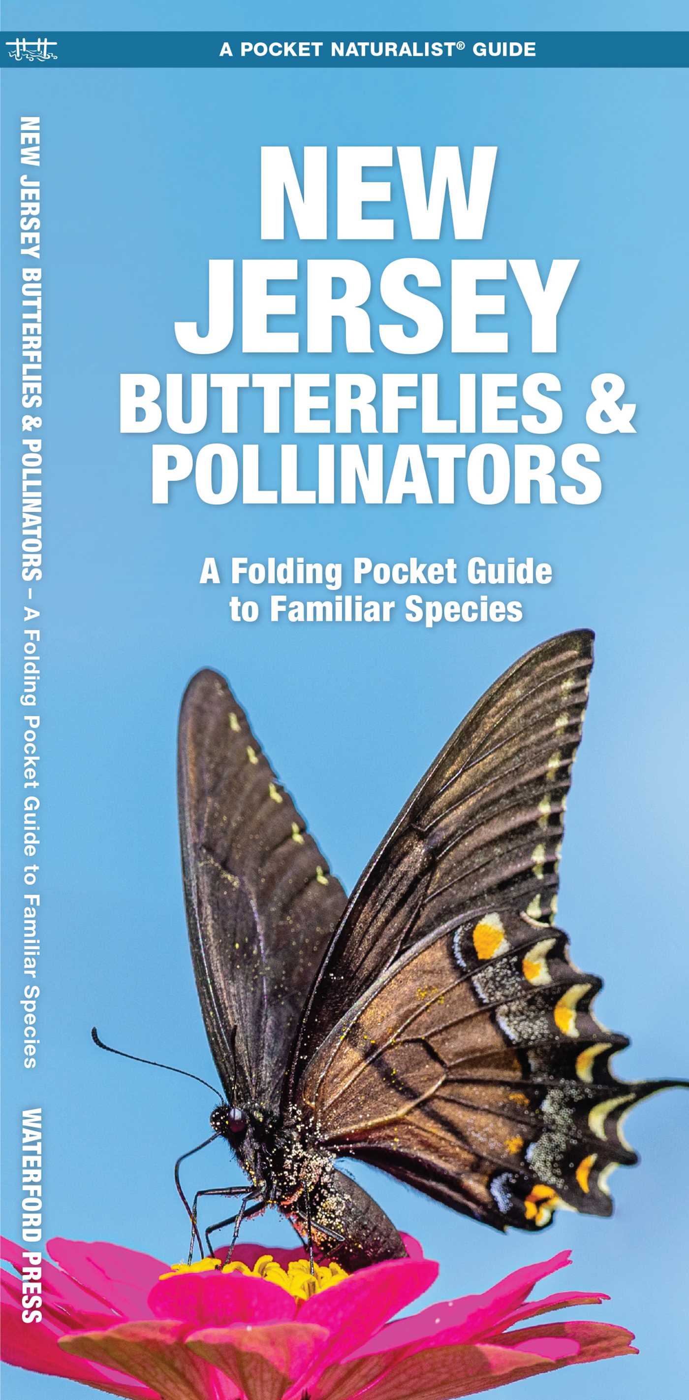 New Jersey Butterflies & Pollinators
