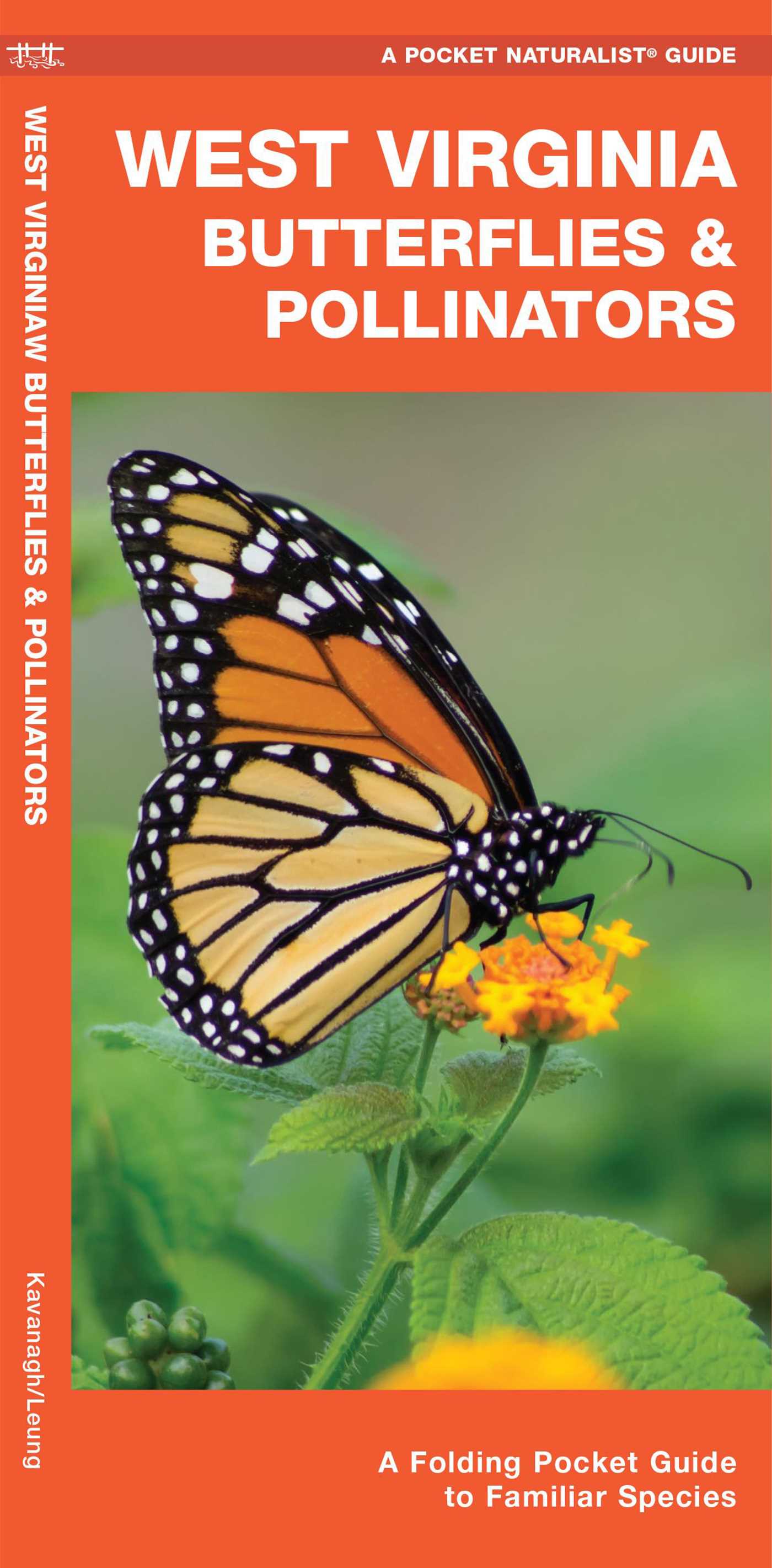West Virginia Butterflies & Pollinators