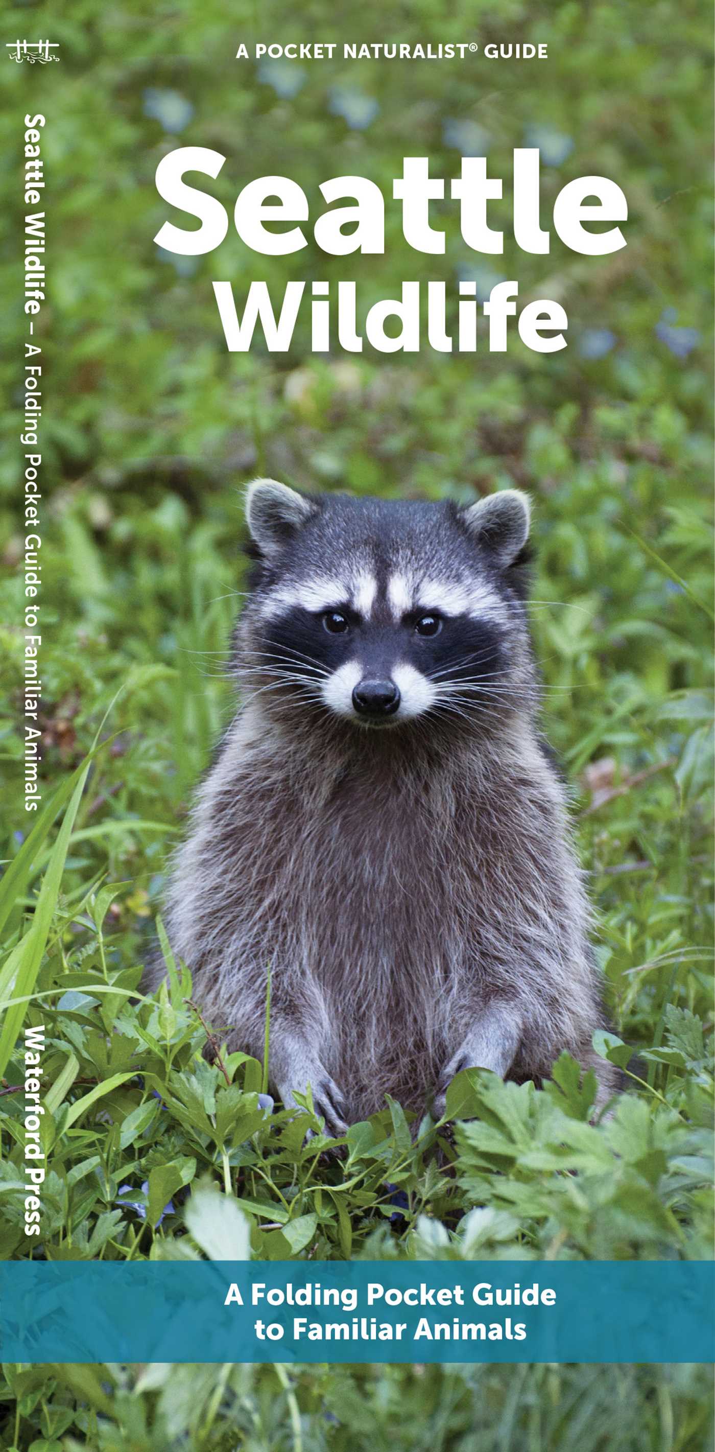 Seattle Wildlife