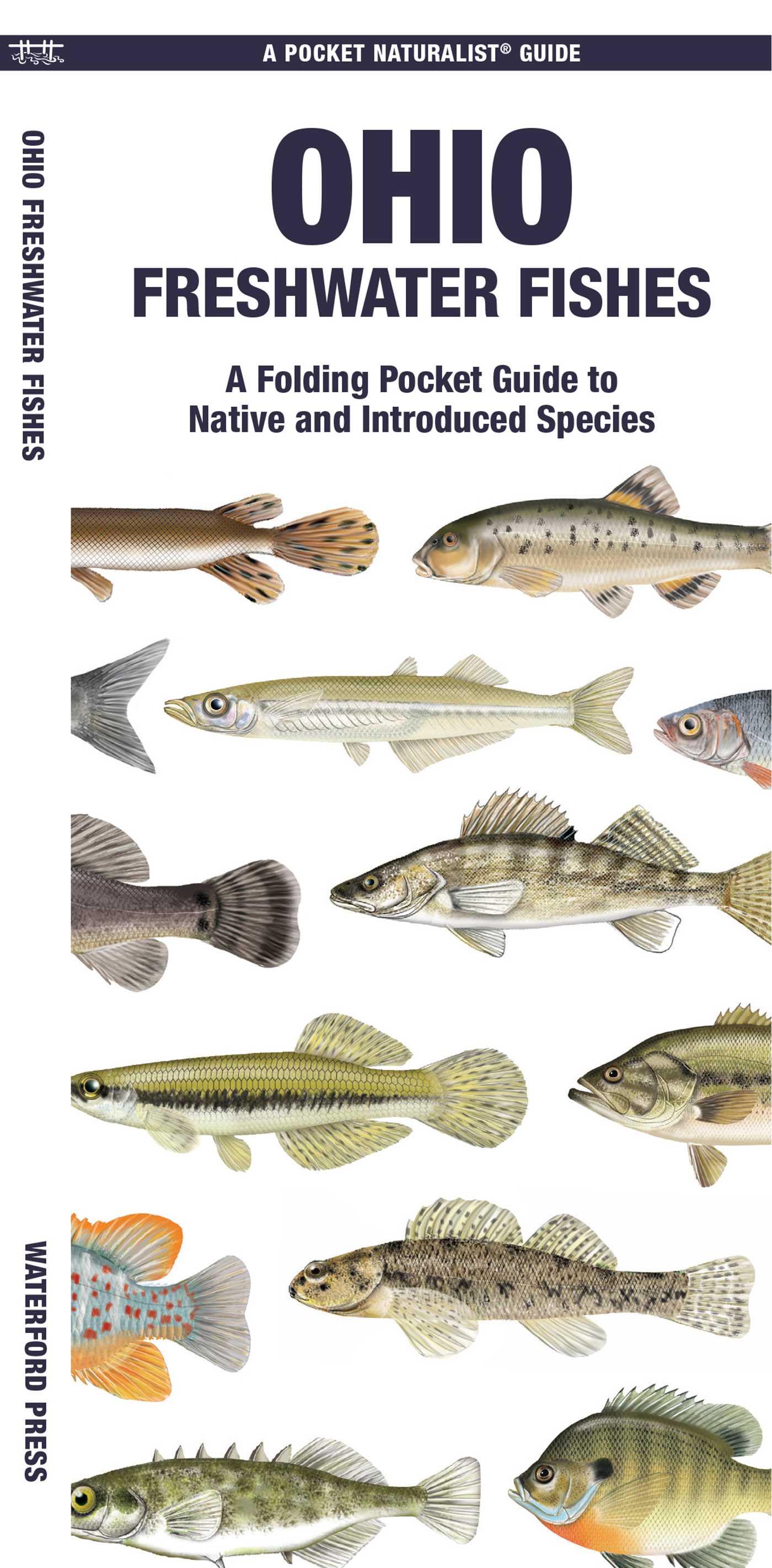 Ohio Freshwater Fishes
