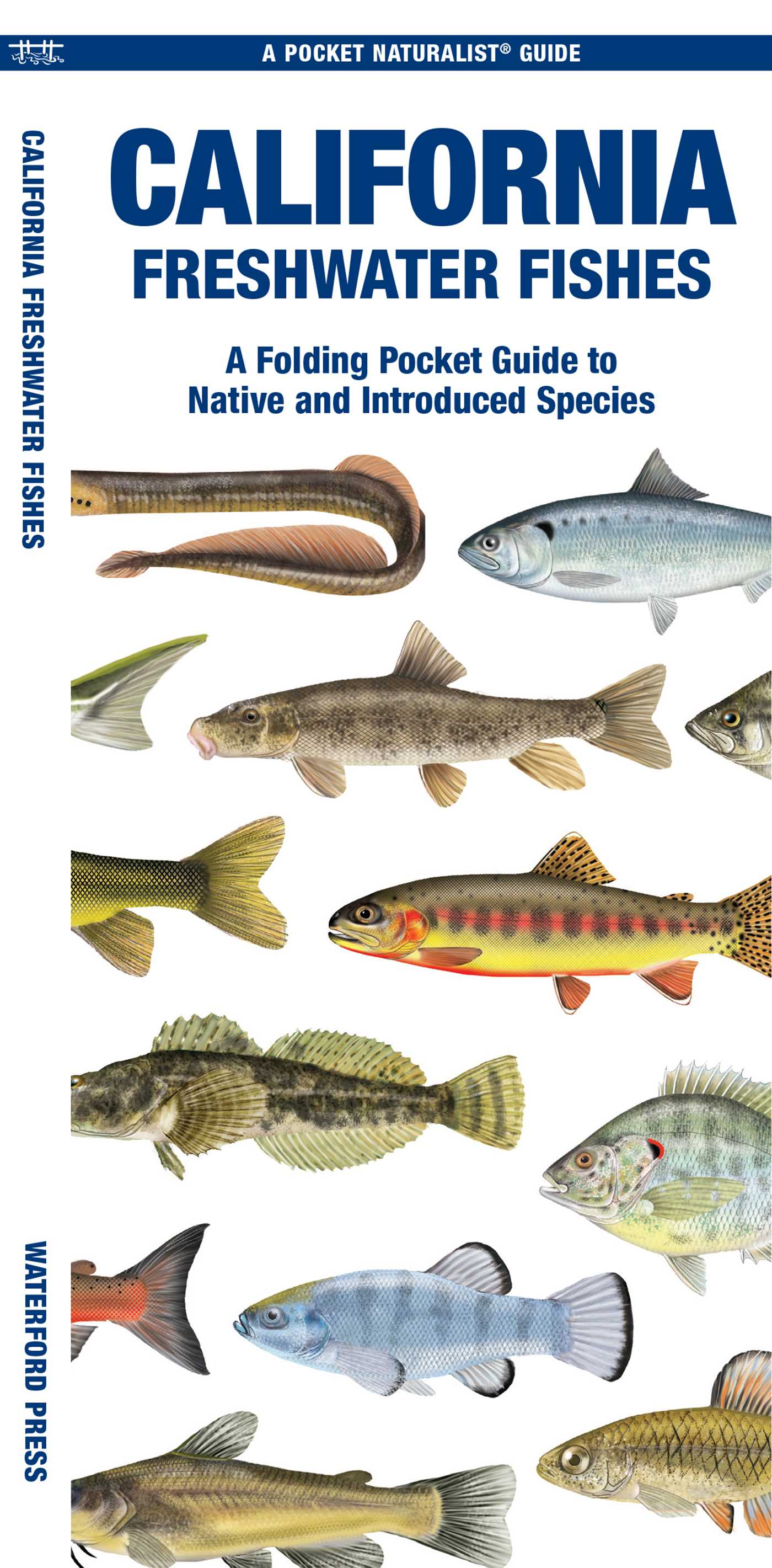 California Freshwater Fishes