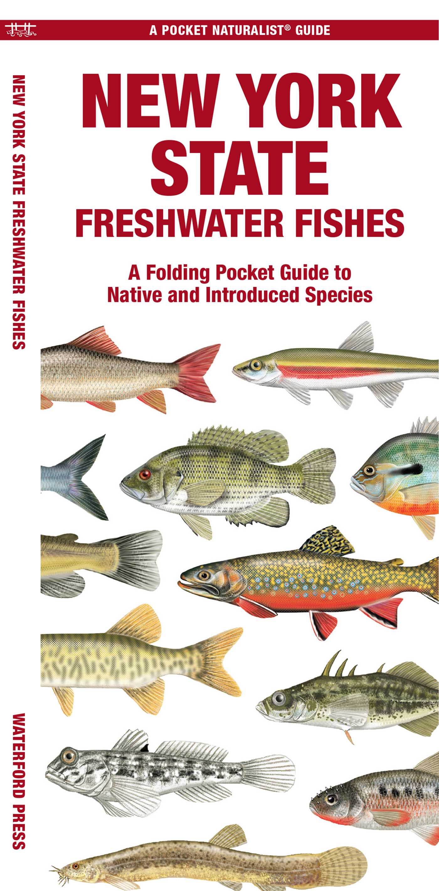 New York State Freshwater Fishes