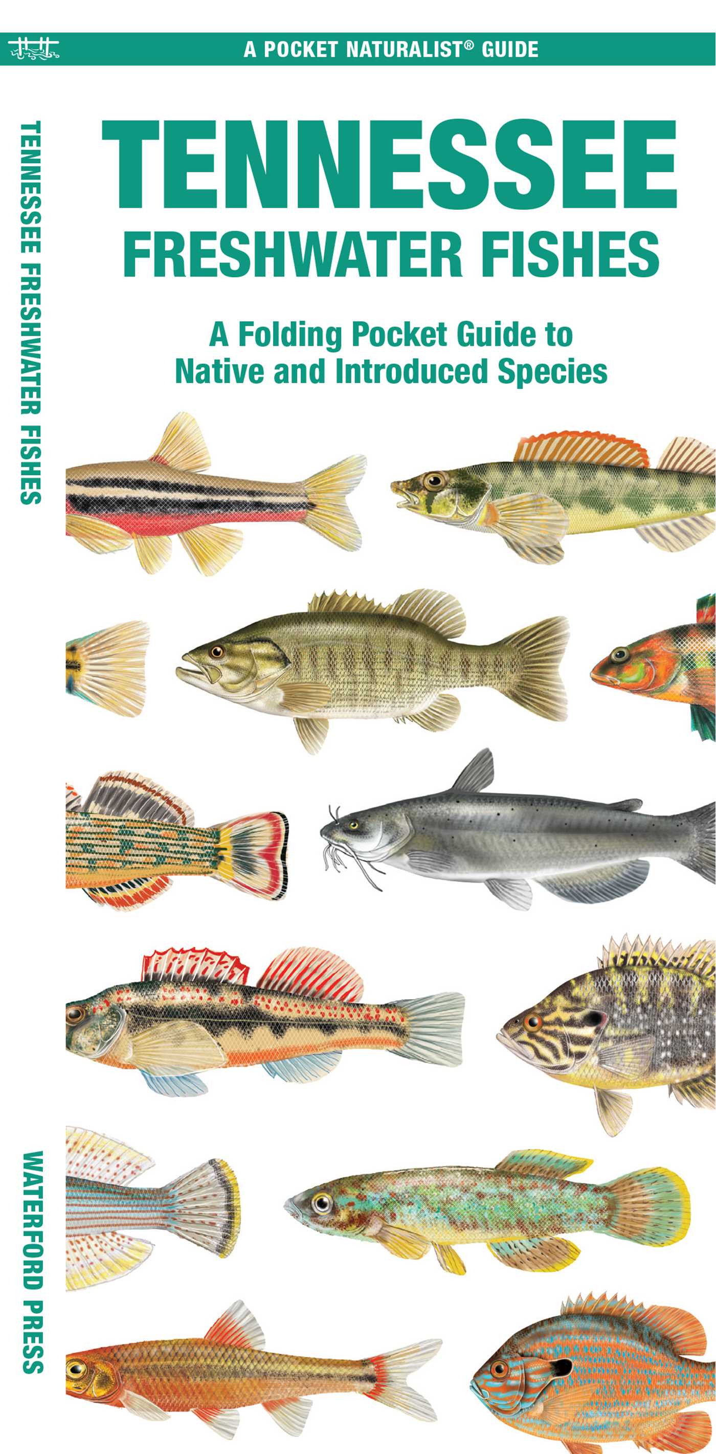 Tennessee Freshwater Fishes