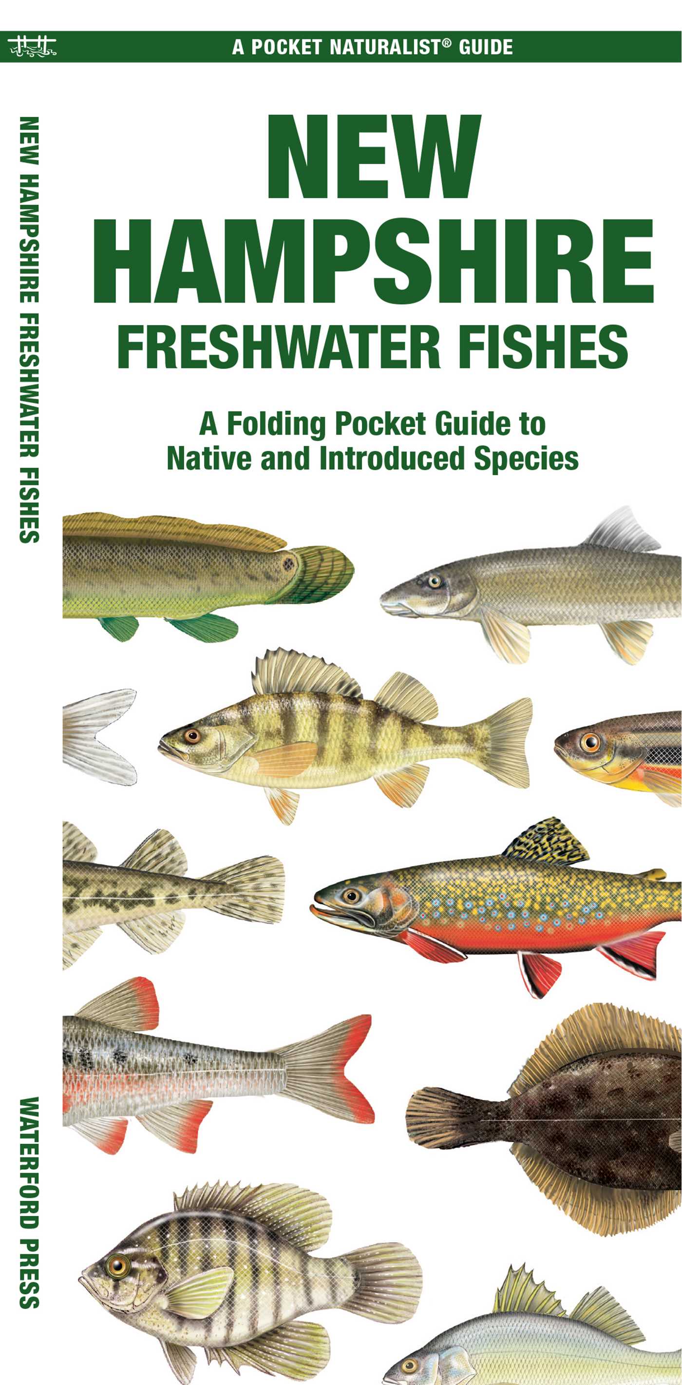 New Hampshire Freshwater Fishes