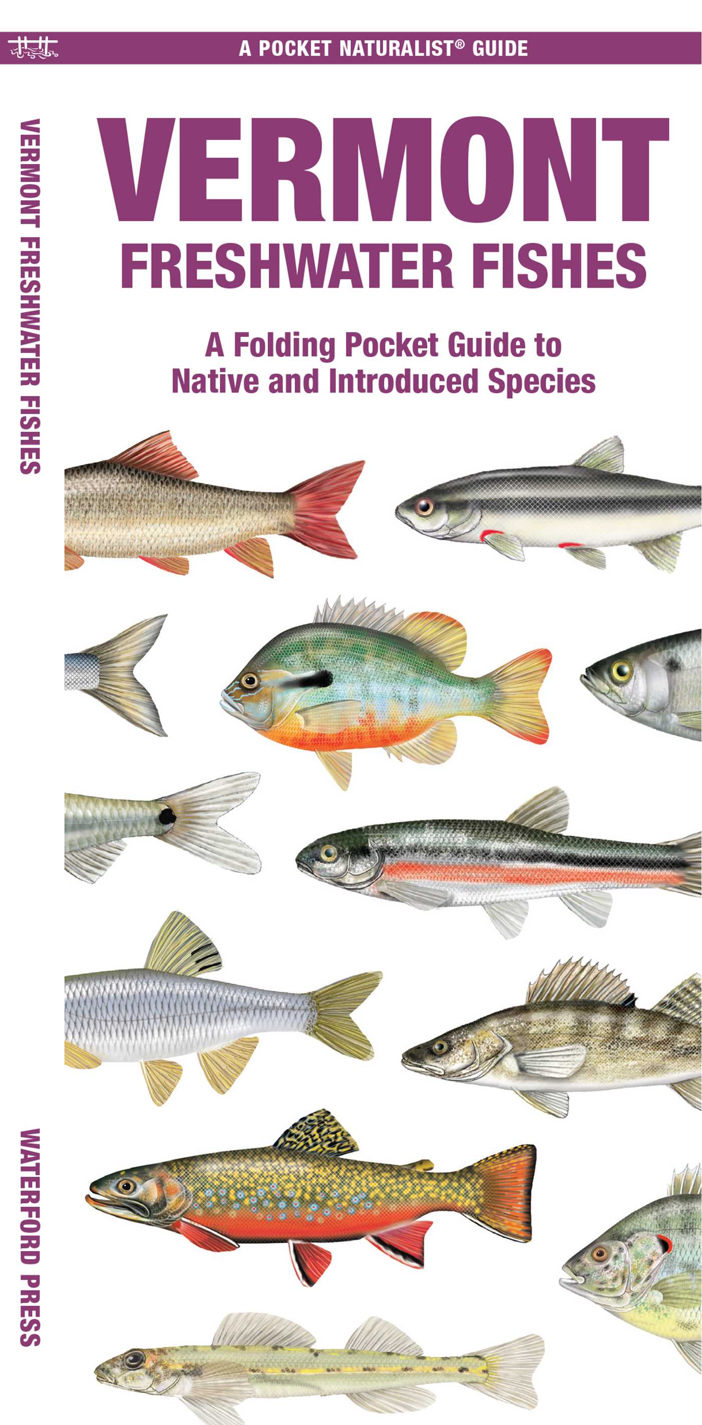 Vermont Freshwater Fishes