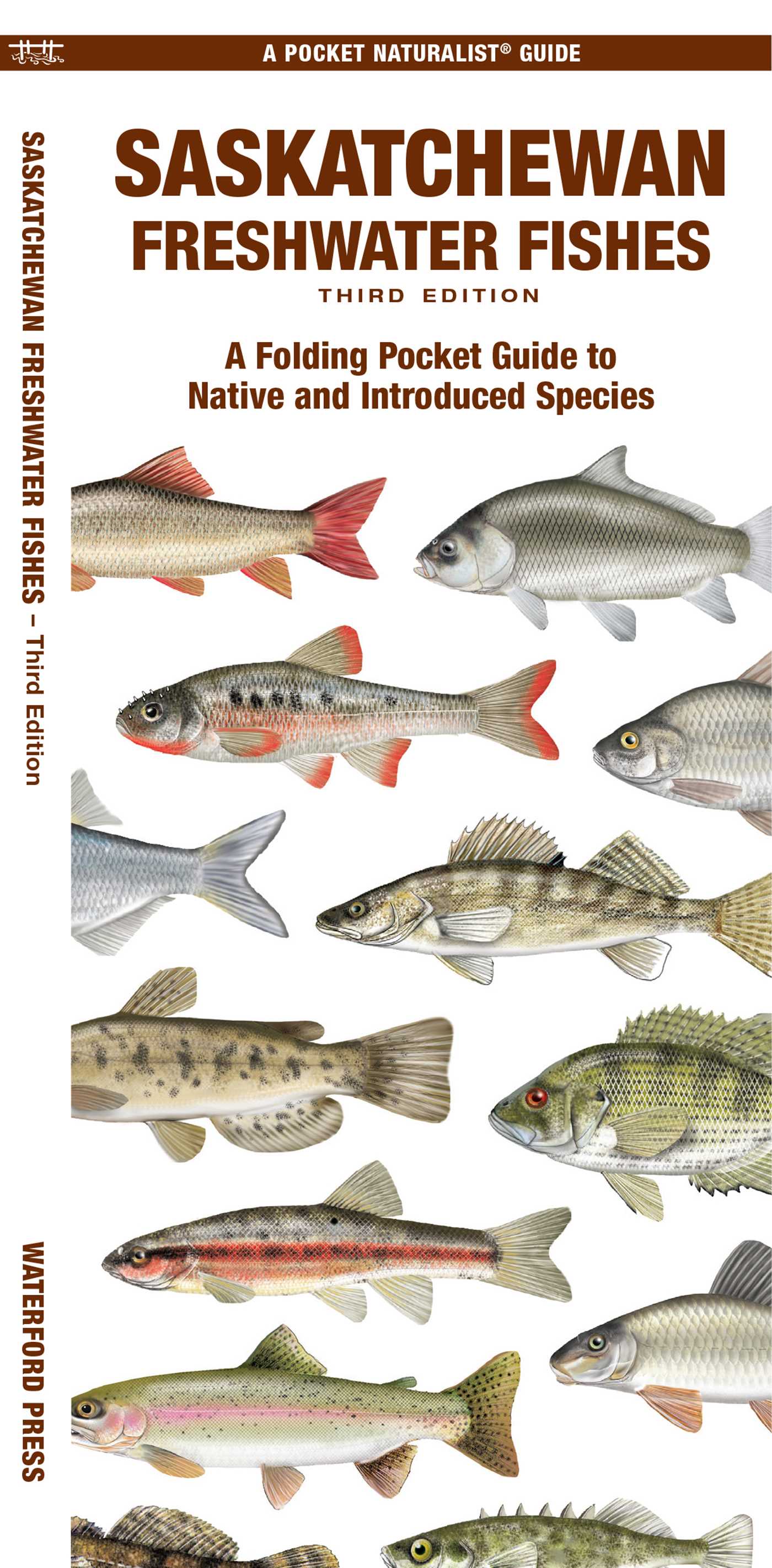 Saskatchewan Freshwater Fishes, 3rd Ed