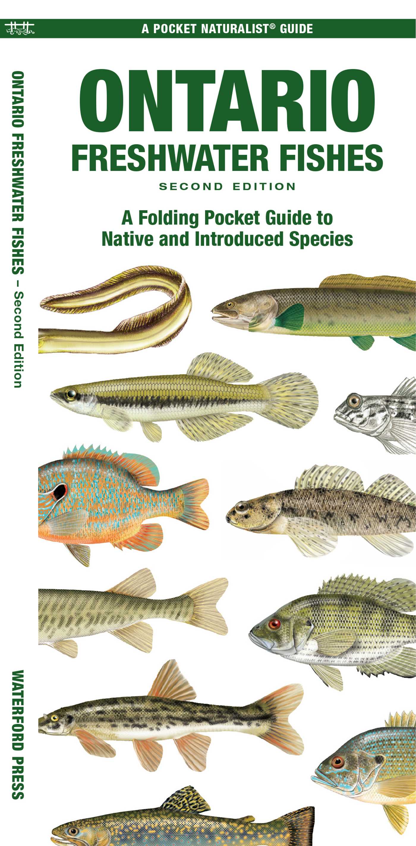 Ontario Freshwater Fishes, 2nd Ed