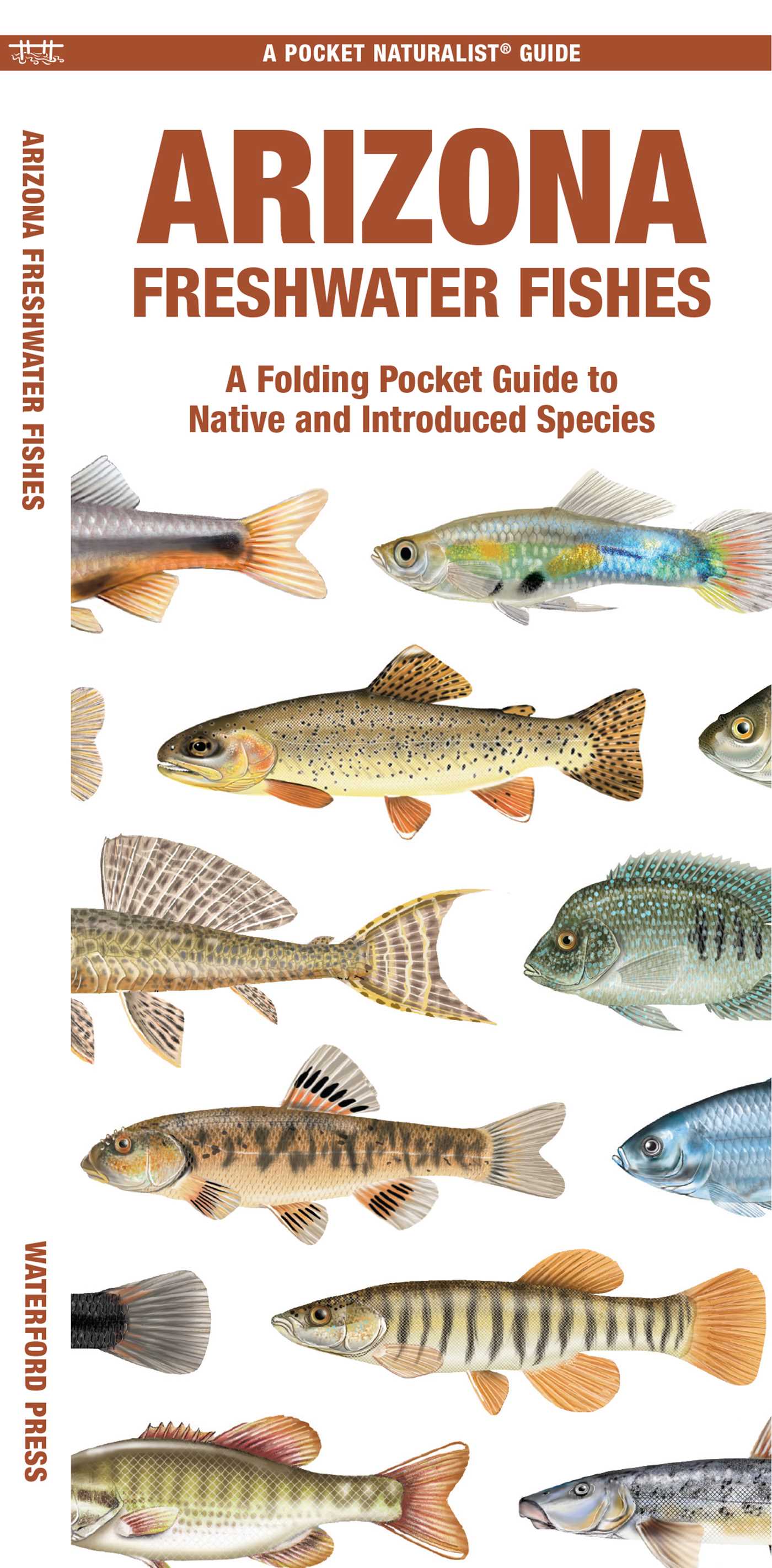 Arizona Freshwater Fishes