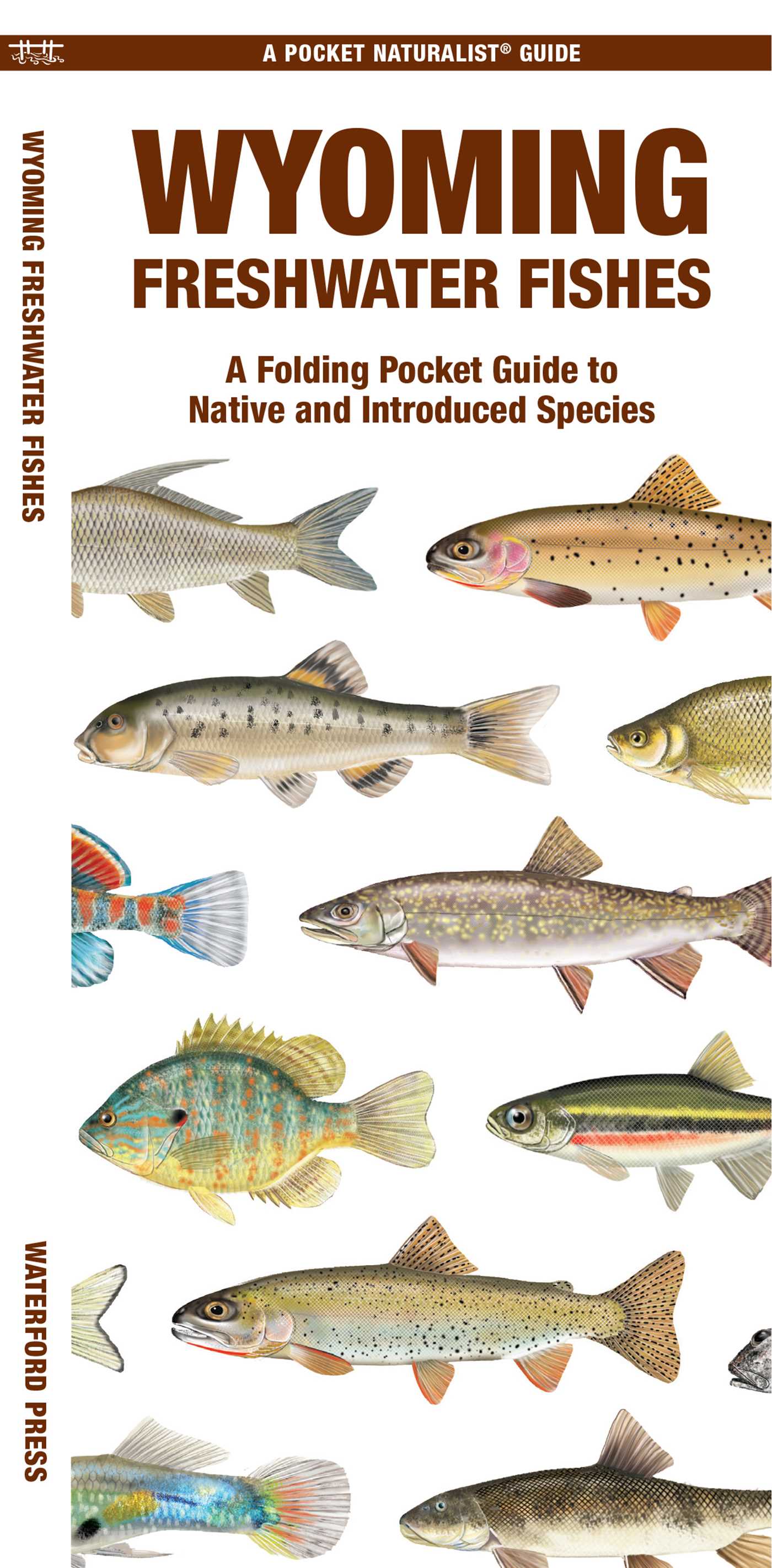 Wyoming Freshwater Fishes