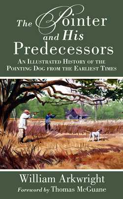 The Pointer and His Predecessors
