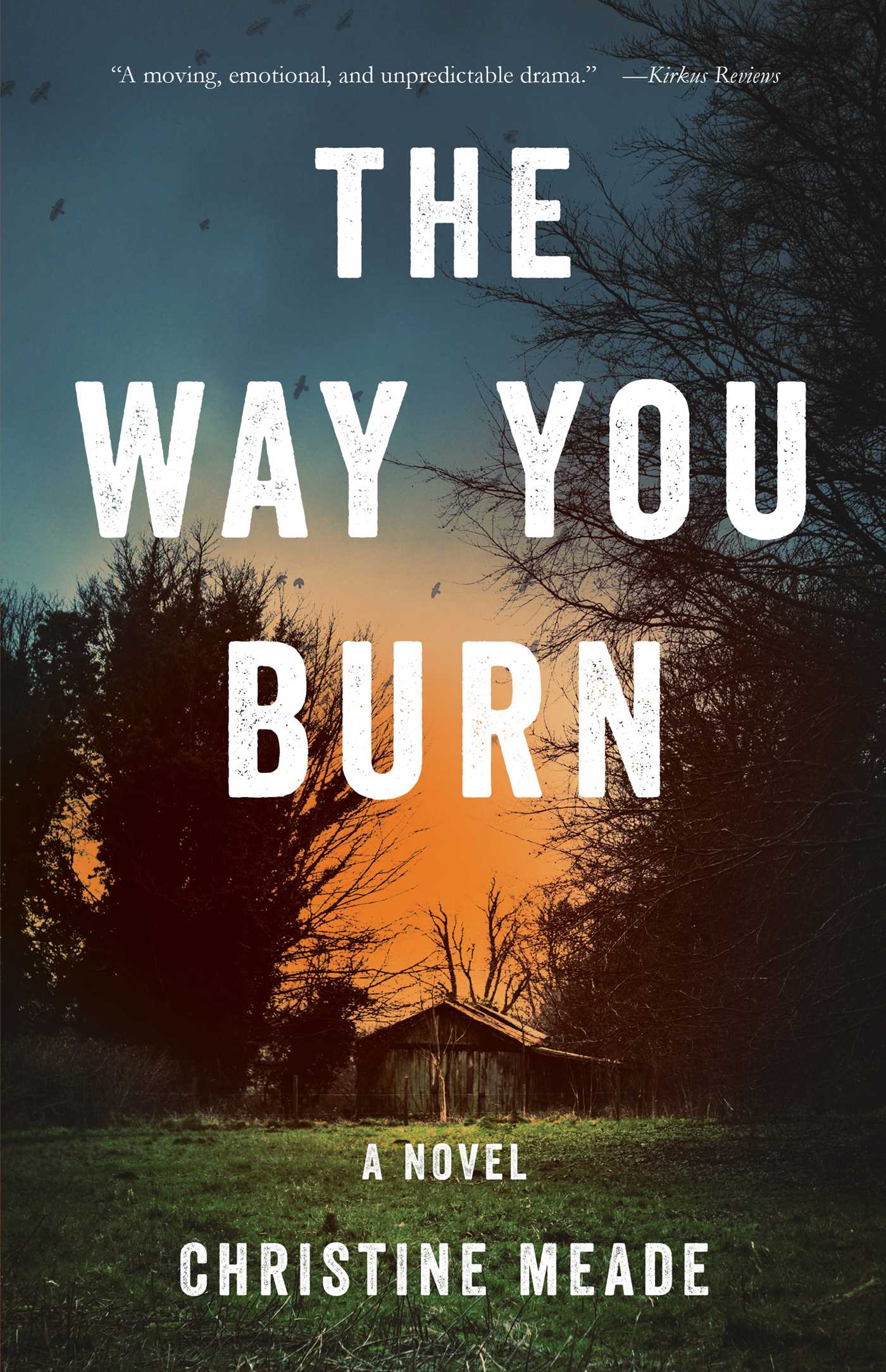 Way You Burn: A Novel
