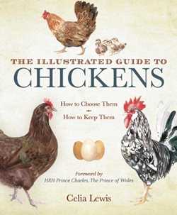 The Illustrated Guide to Chickens