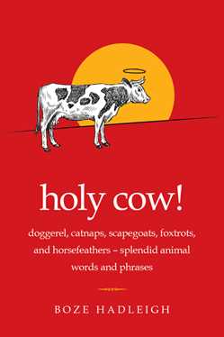 Holy Cow!