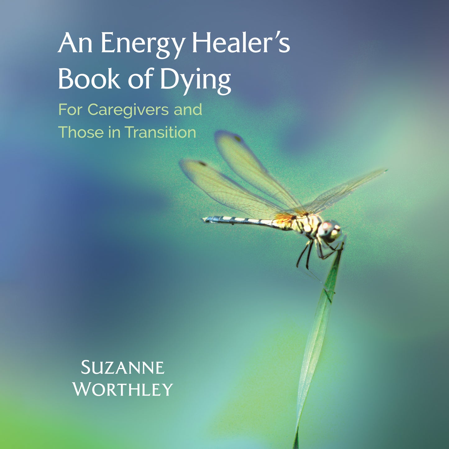 Energy Healer's Book of Dying: For Caregivers and Those in Transition