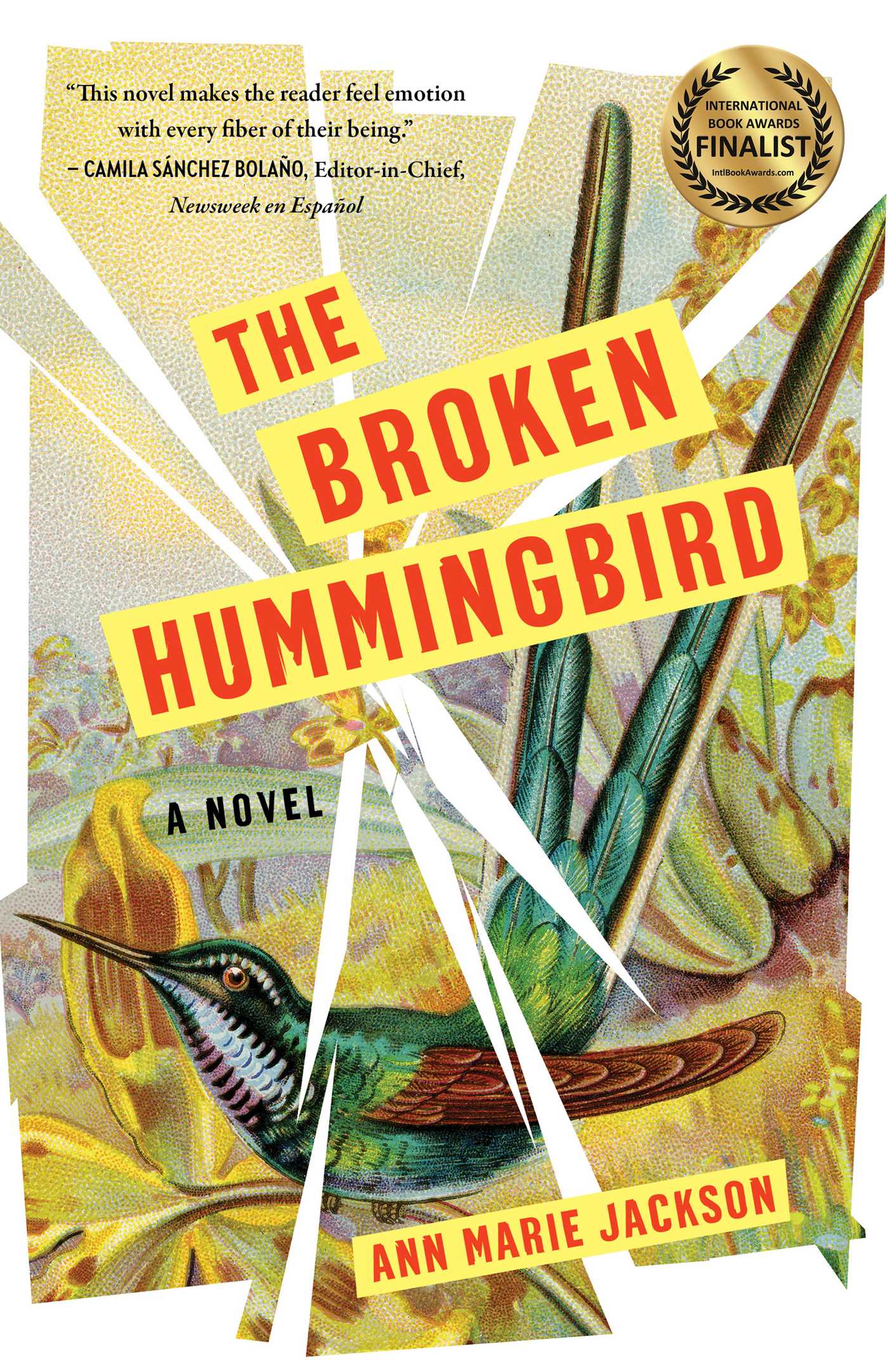 Broken Hummingbird: A Novel