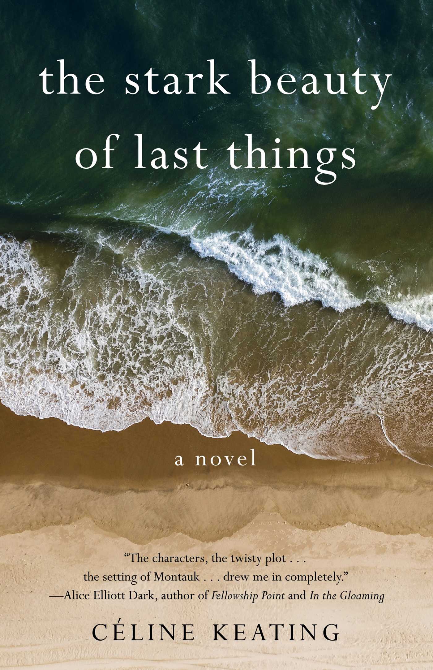 Stark Beauty of Last Things: A Novel