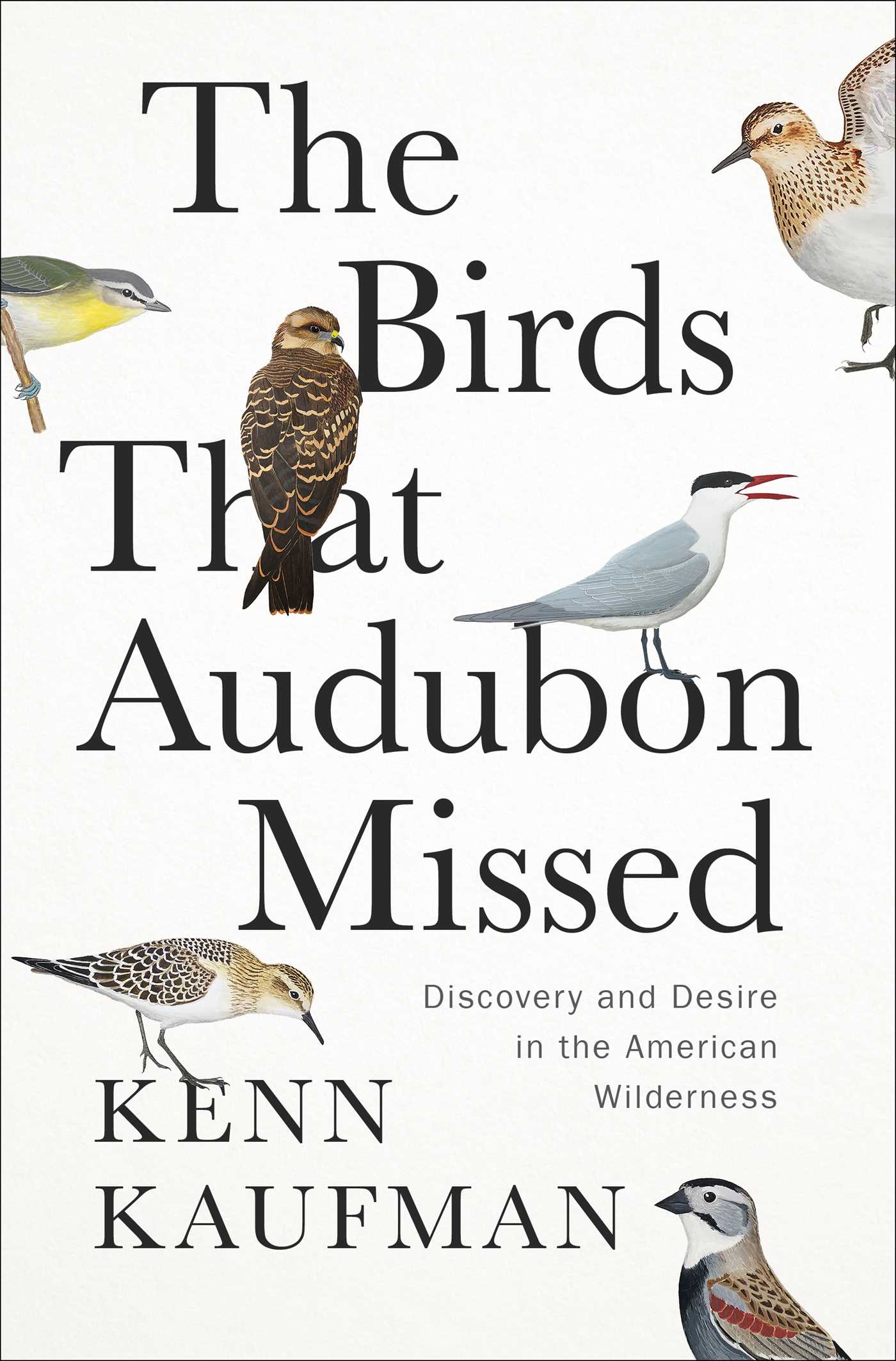 Birds That Audubon Missed: Discovery and Desire in the American Wilderness