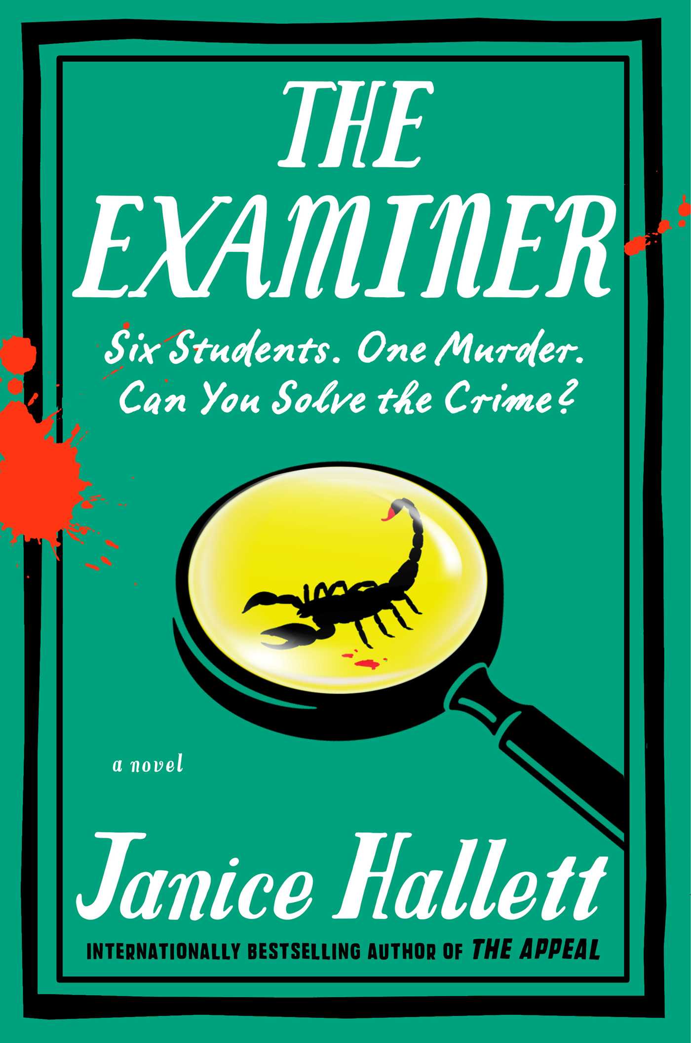 Examiner: A Novel