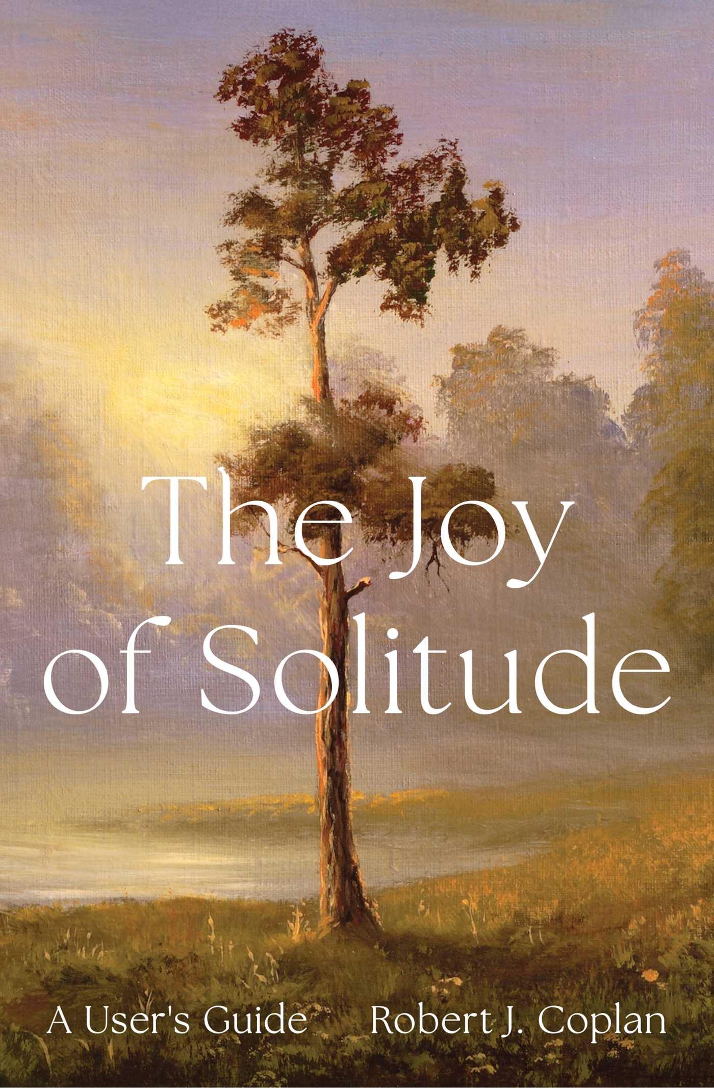 Joy of Solitude: How to Reconnect with Yourself in an Overconnected World