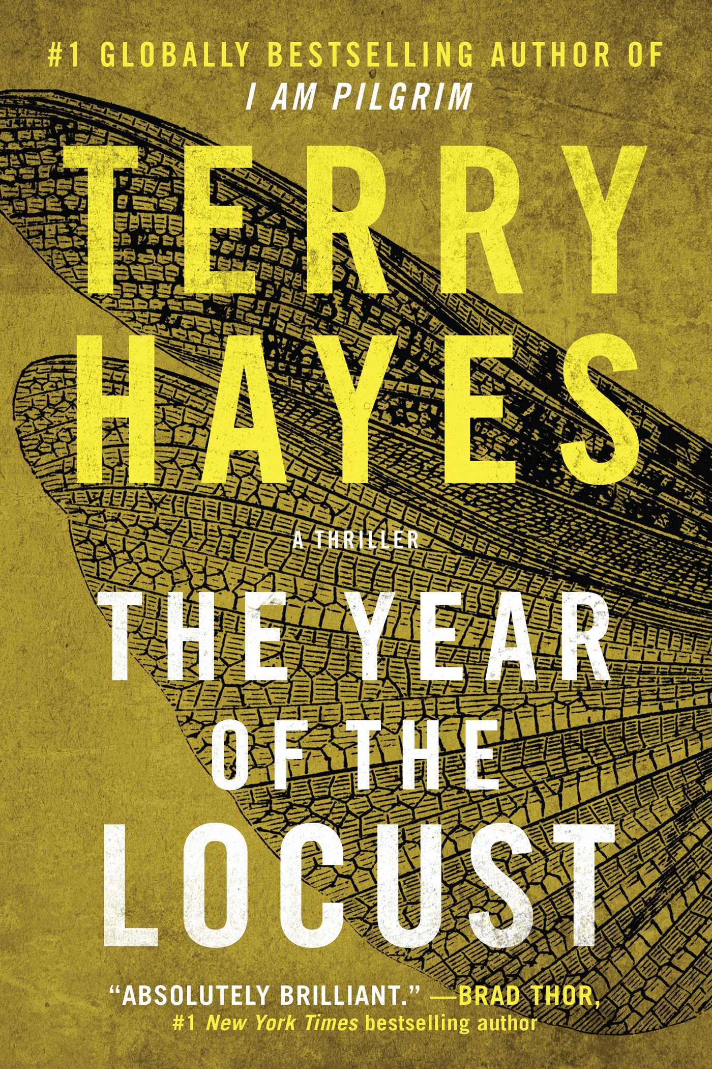 Year of the Locust: A Thriller